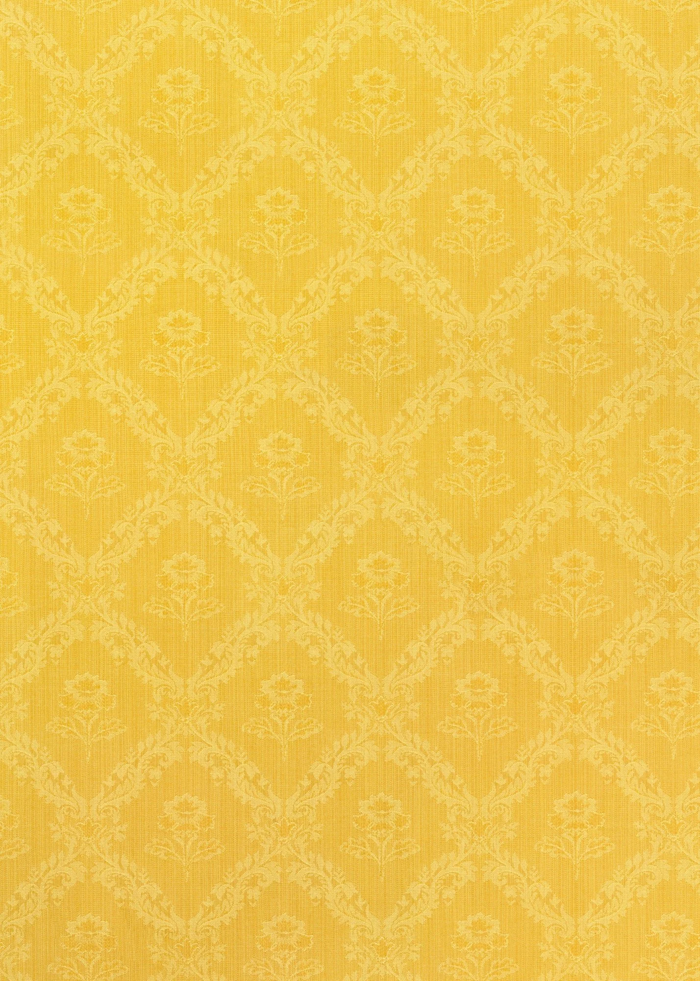 Club Backdrops - Dandy