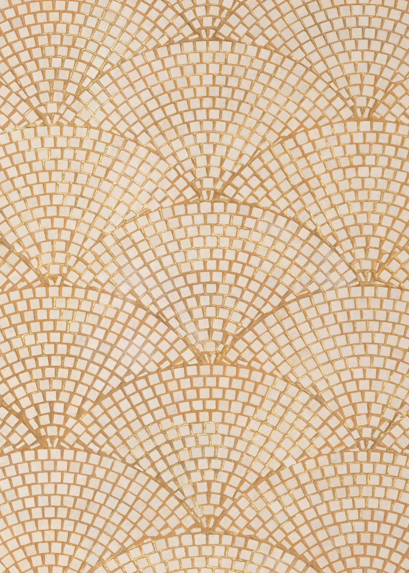 Club Backdrops - Fan