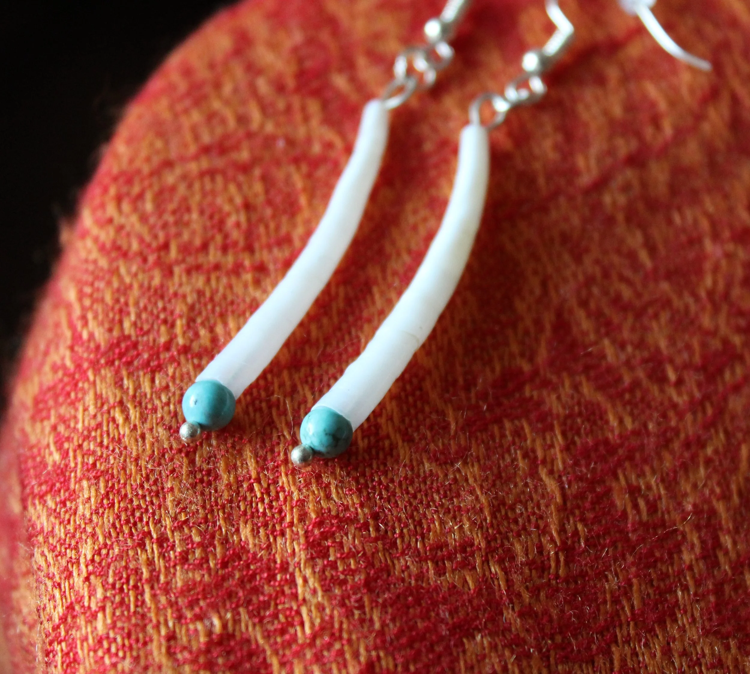 Dentalium_2.JPG