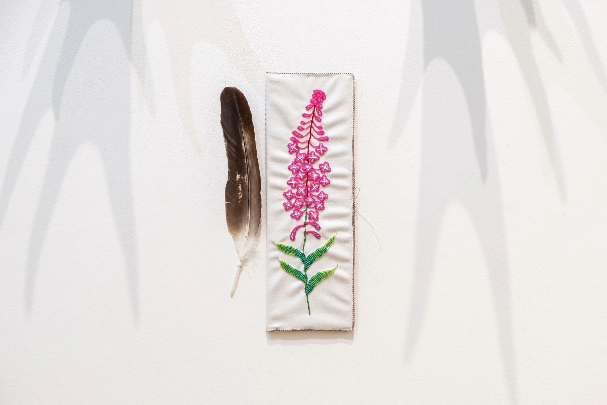 Feather Cases (2021)