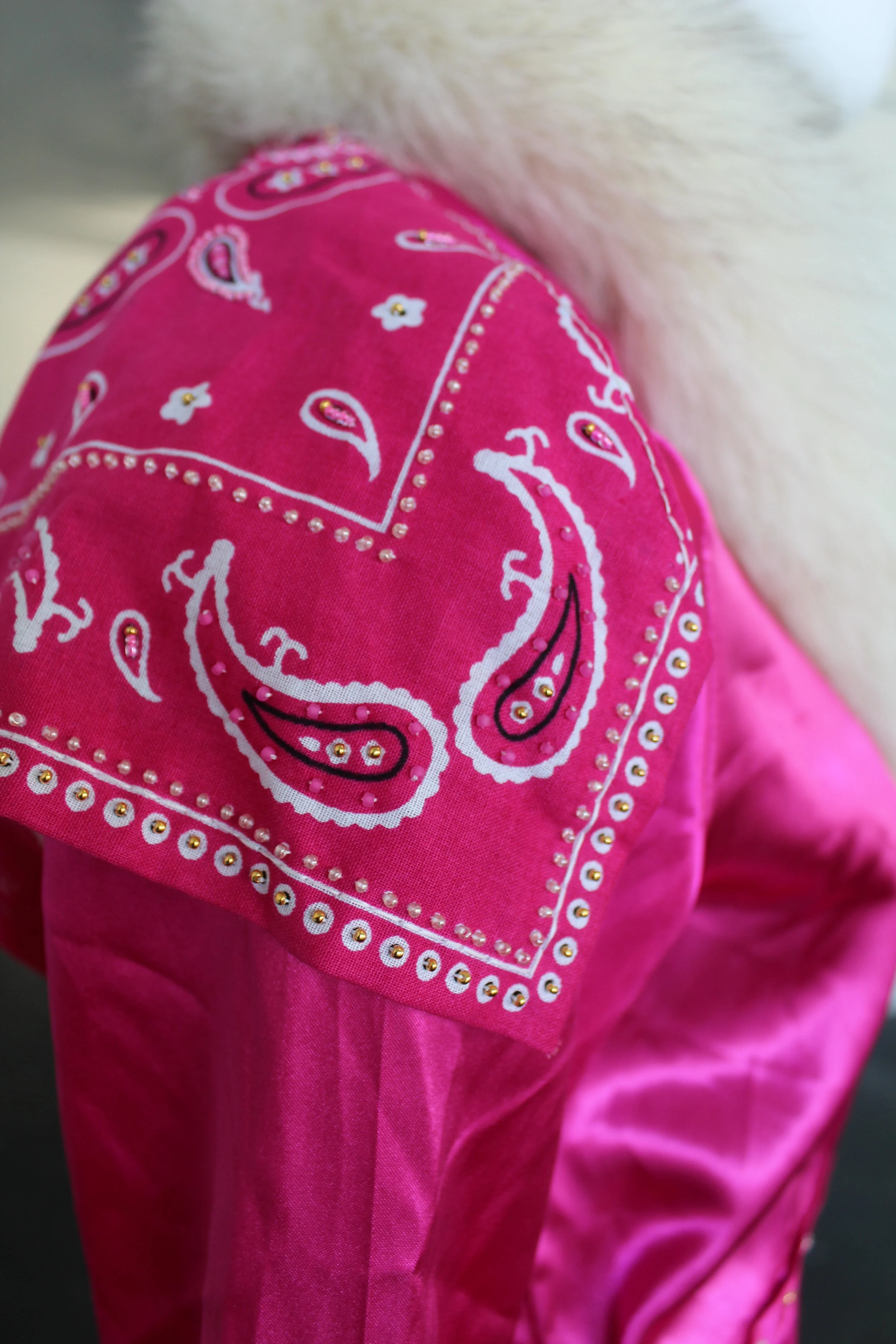 Pink Lady_Detail 2.JPG