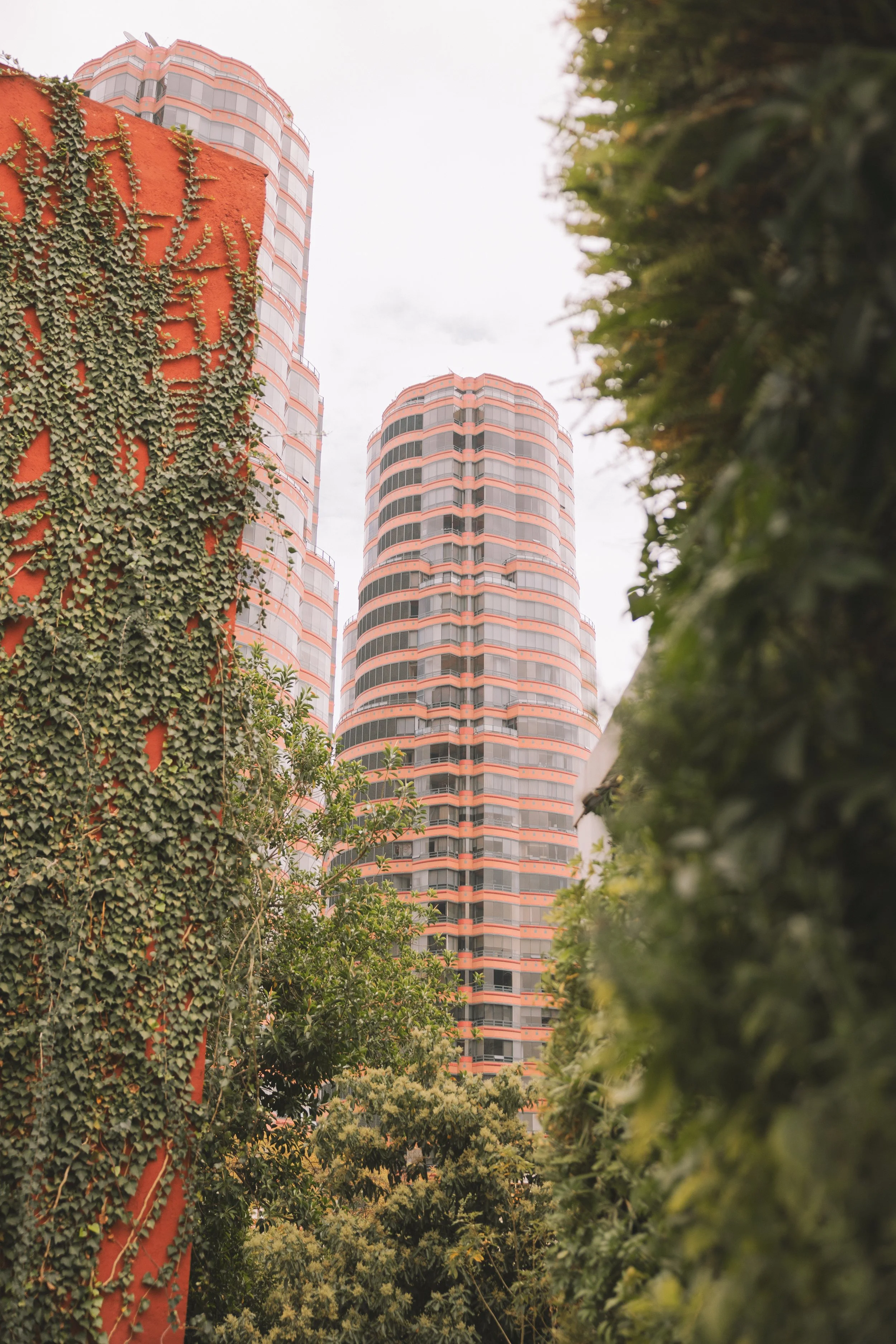 Edicionorchidhouseenero24-64.jpg
