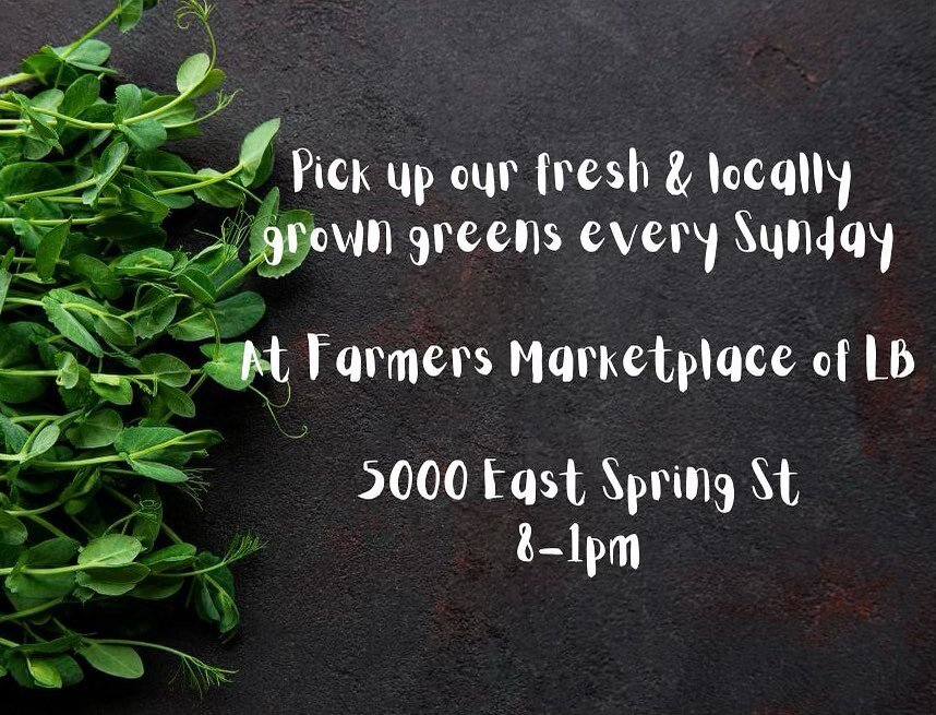 Just a friendly reminder where you can purchase our greens &amp; plants on Sundays 🌱☺️hope to see you soon! 
.
.
.
.
.
.
.
.
.
.
.
.

#microgreens #microgreen #microgreensfarm #summer #summertime #longbeachmicrogreens #womenwhofarm #gardeninspiratio