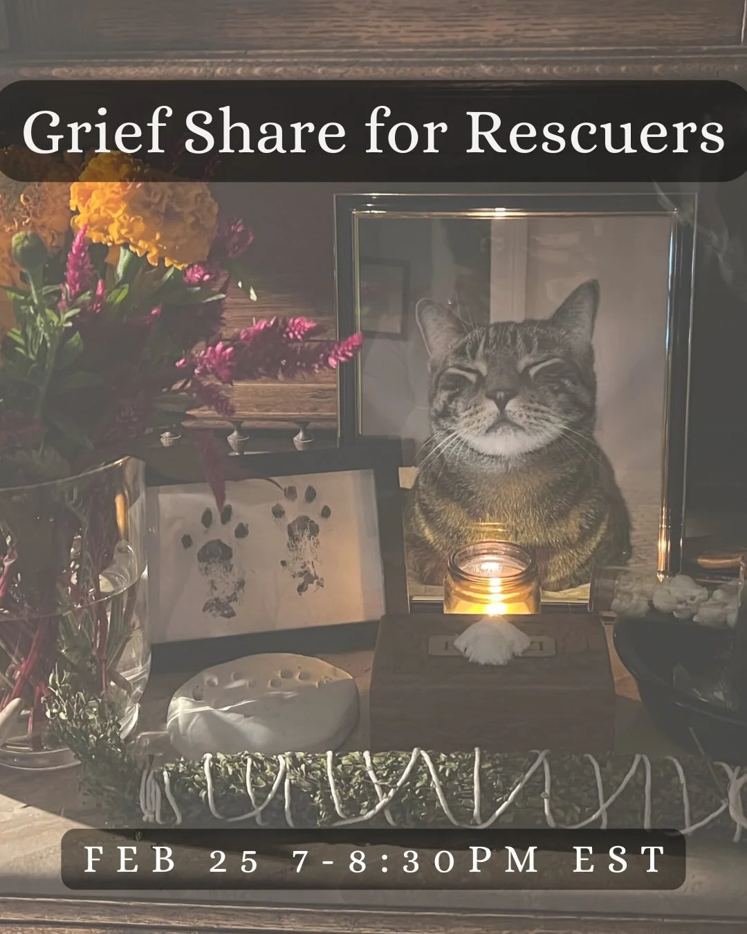 Animal rescuers do incredible work, which often comes with immense grief. I&rsquo;m excited to share this free online event, open to rescuers of all types who are looking to share, connect, or just be. Patricipate in any capacity you wish-actively sh