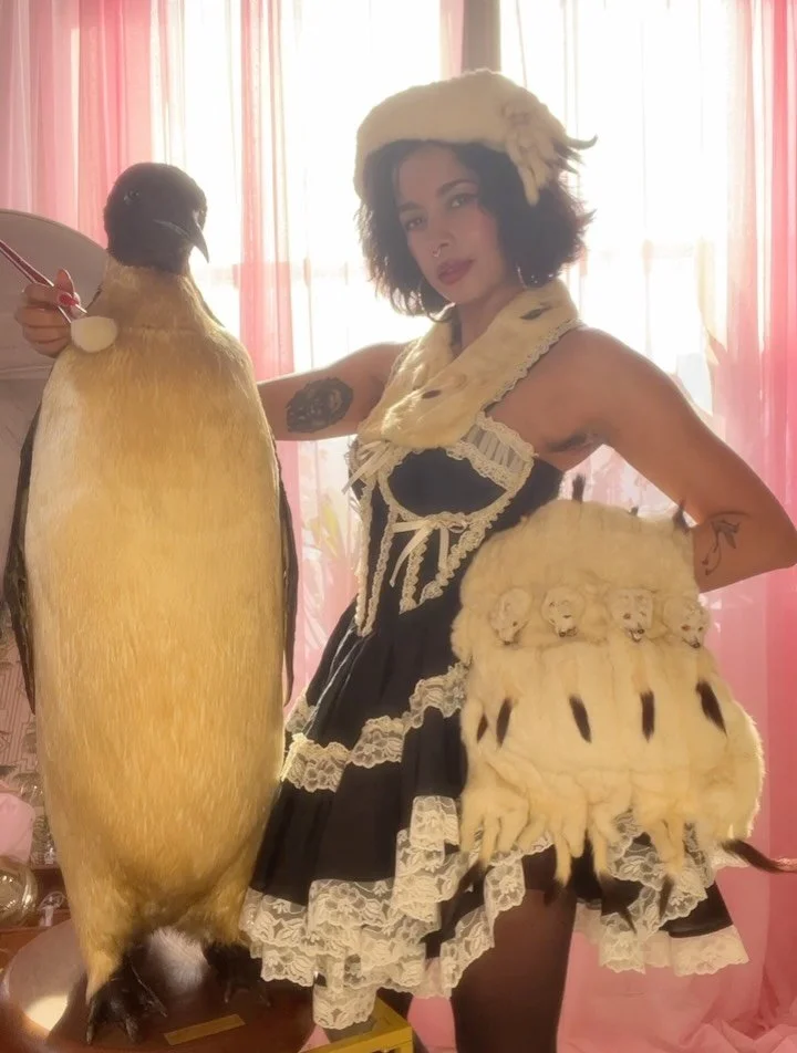 Winter is officially over 🐧 But this regal Emperor Penguin lives for all seasons! This antique taxidermy piece has an amazing provenance, being over 100 years old. His inner structure is made of humble materials-wood wool, clay, and mache-but his pr