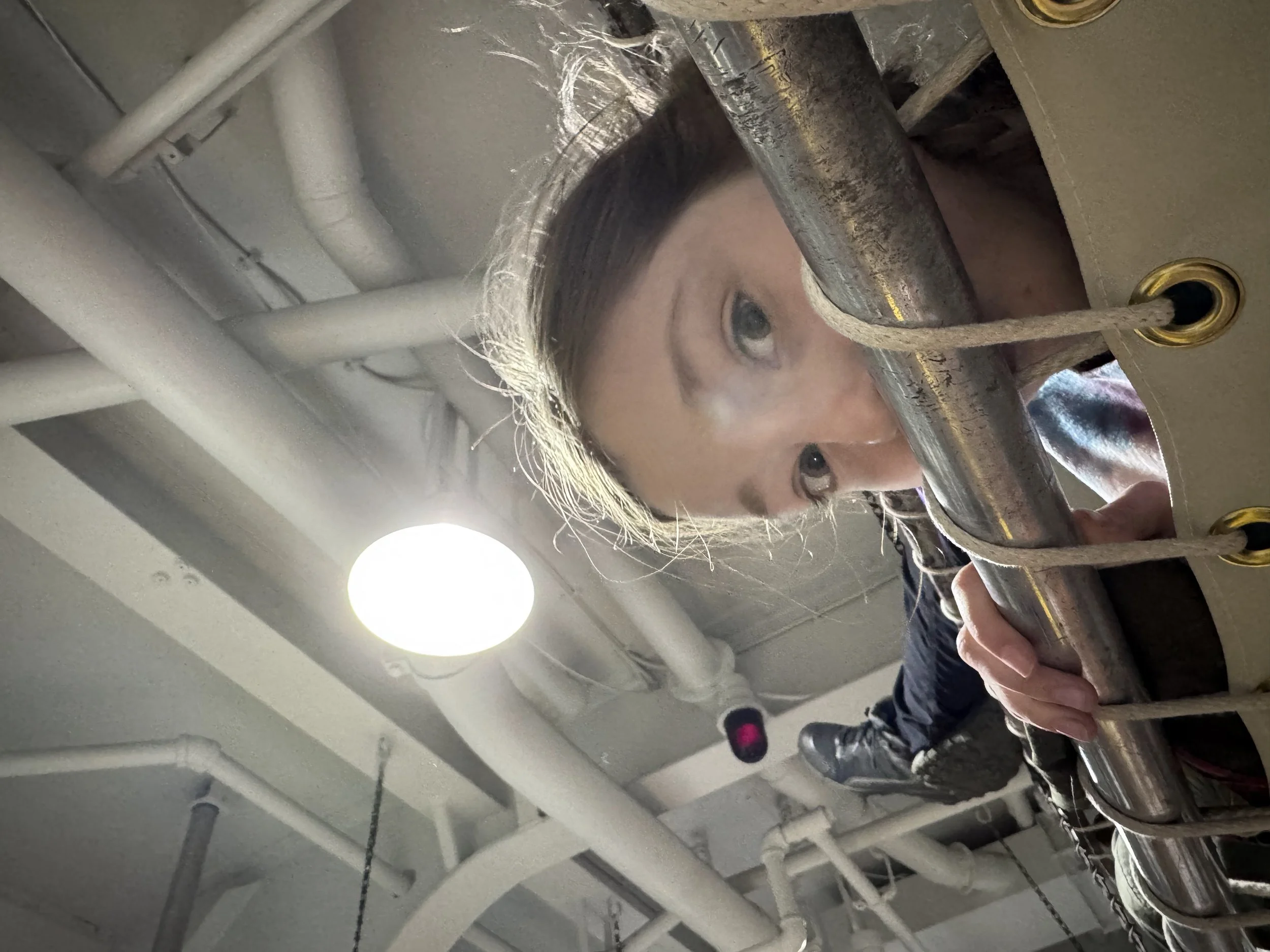 IMG_8253.jpeg