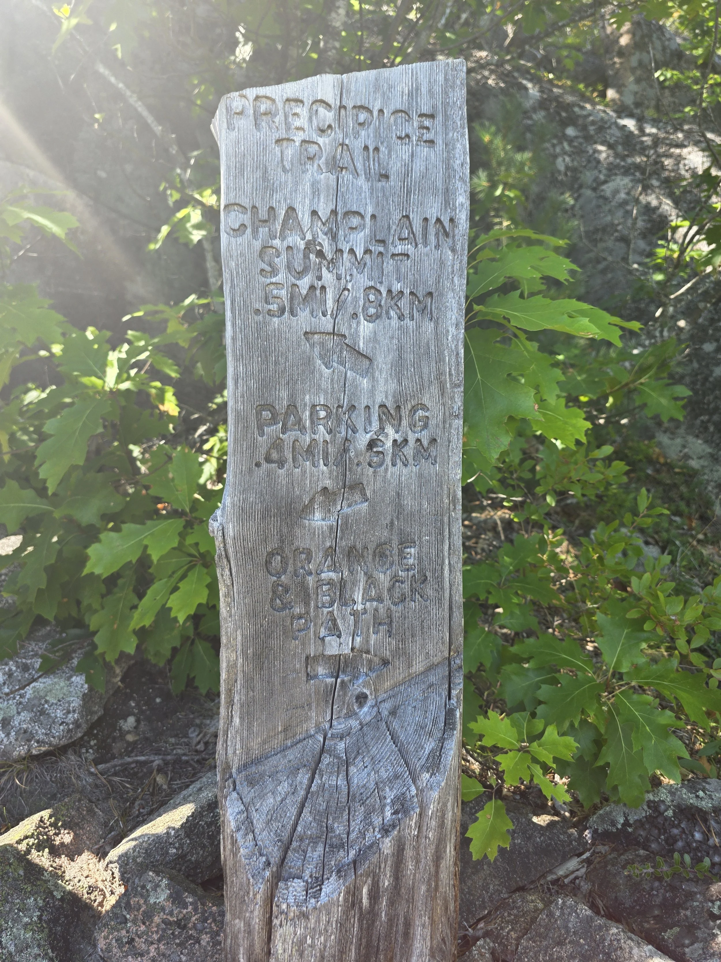 20260819_142346.jpg