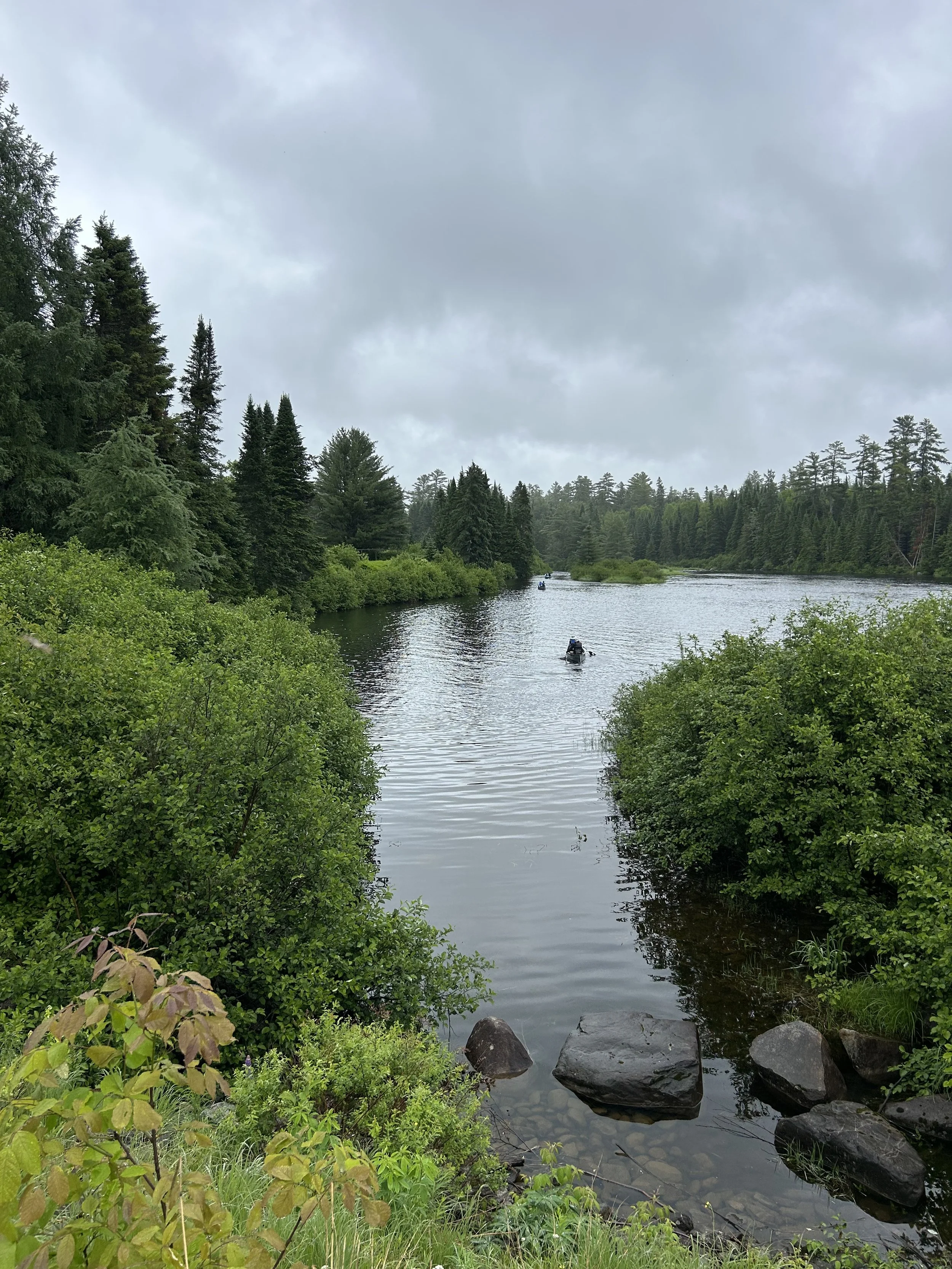 IMG_7015.jpeg