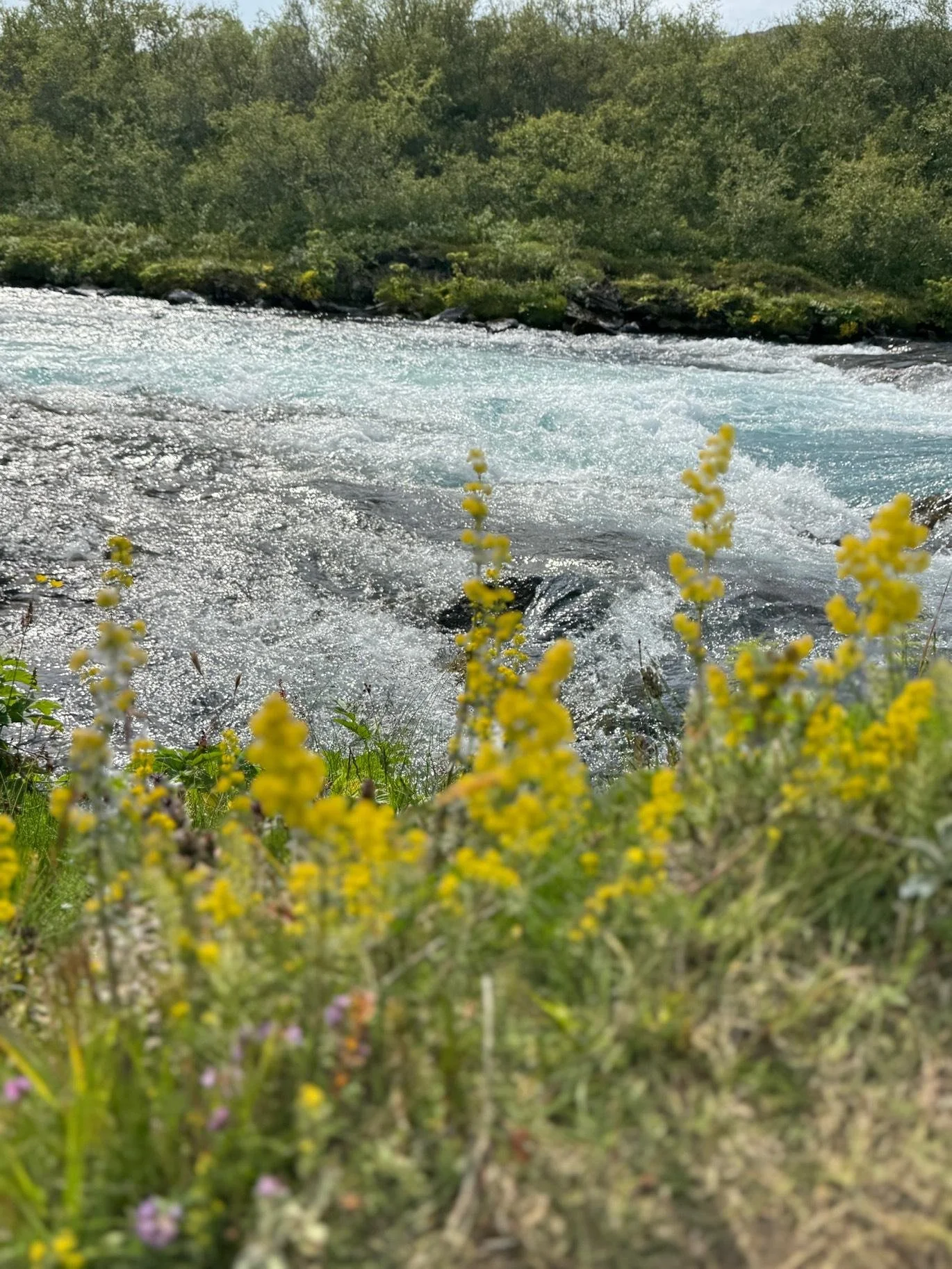 d12525f3467f39436af748949a11be88.jpeg