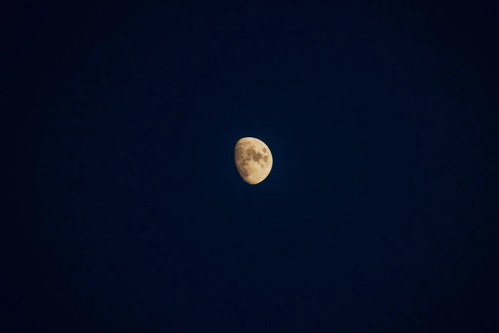 4J8A8499.jpg