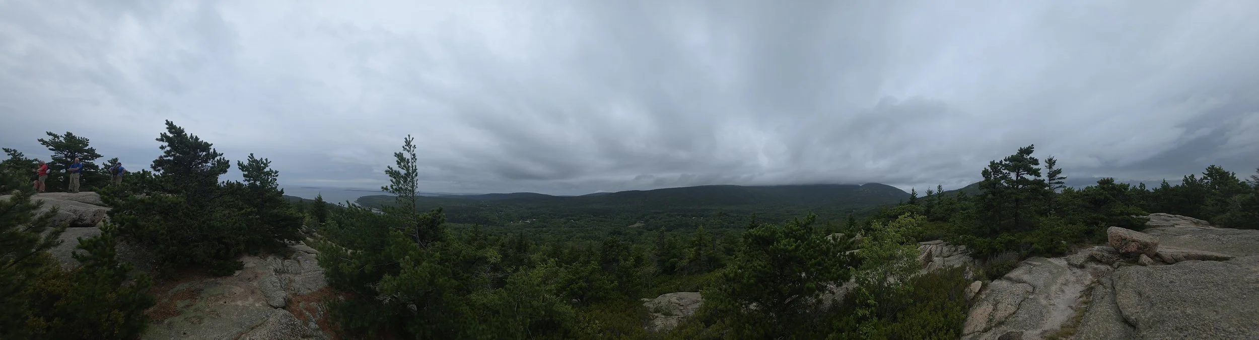 20260817_121313.jpg