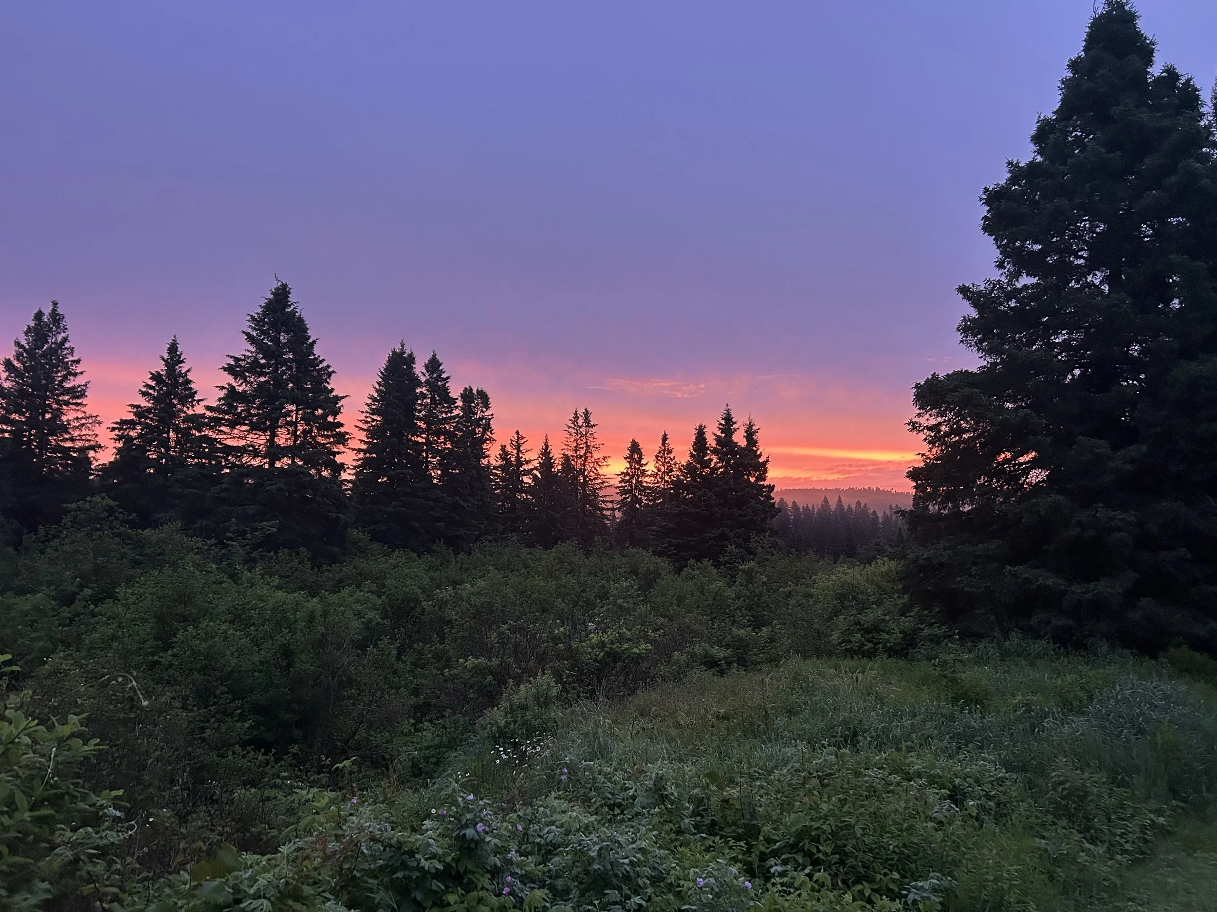 IMG_7084.jpeg