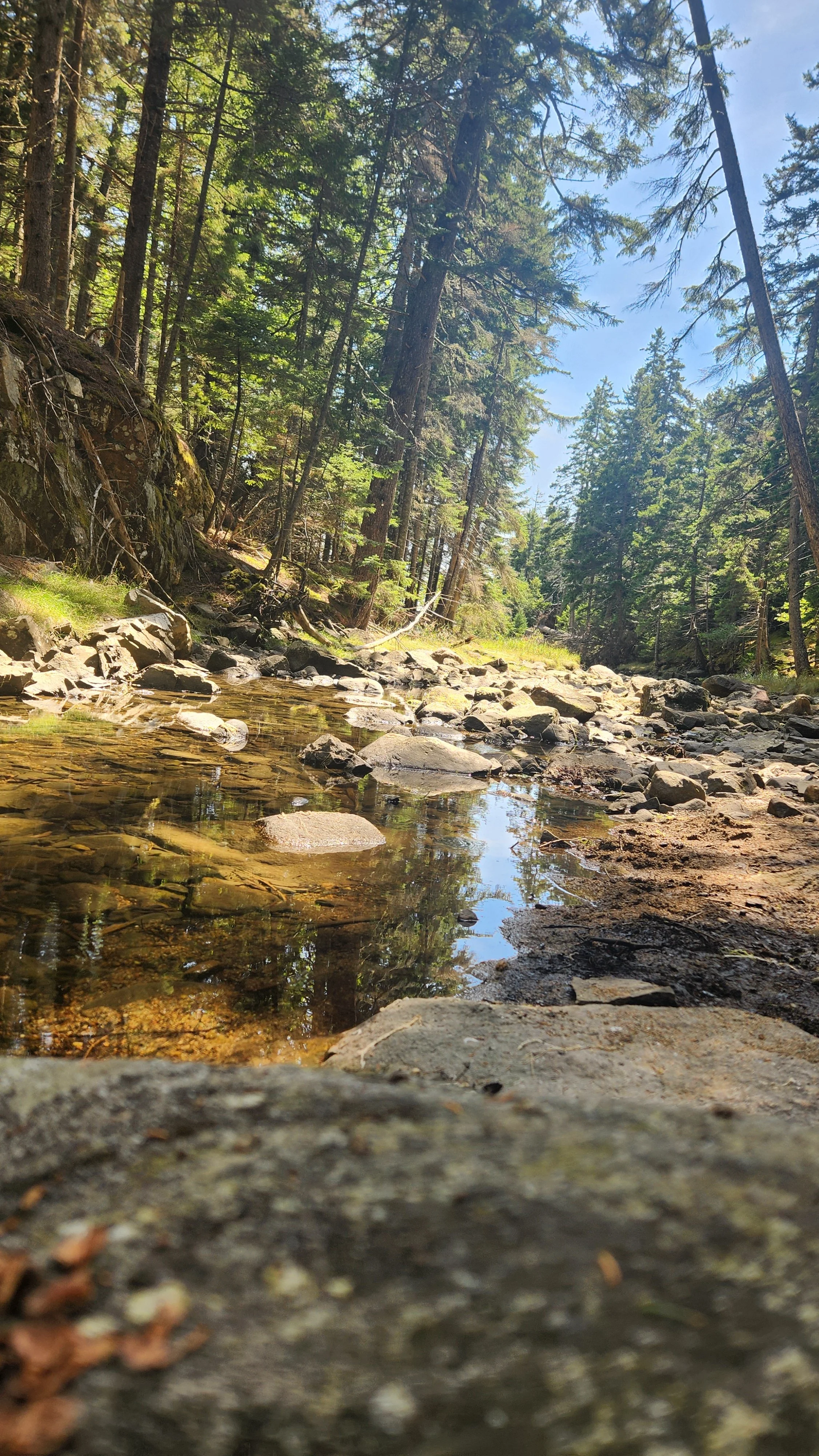 20260820_131334.jpg