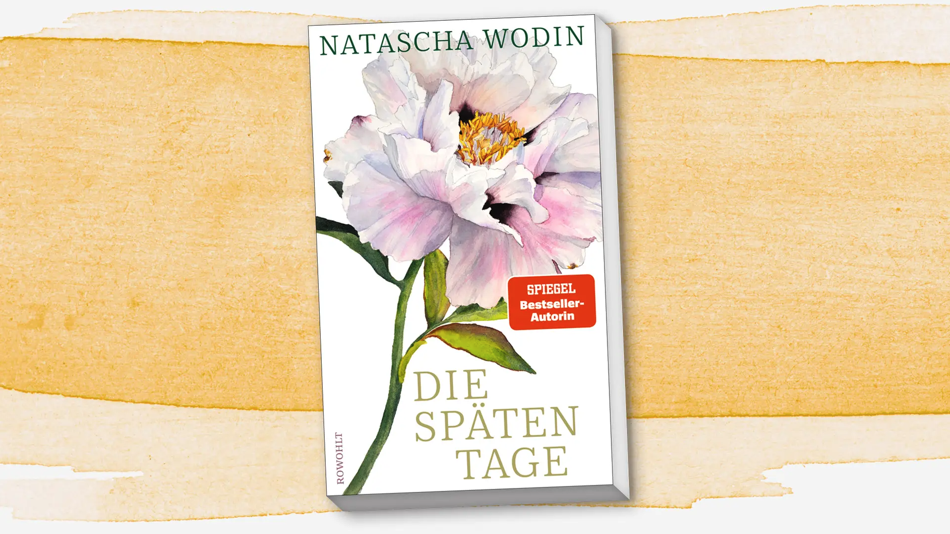 Bildschirmfoto 2026-01-31 um 22.21.35.png