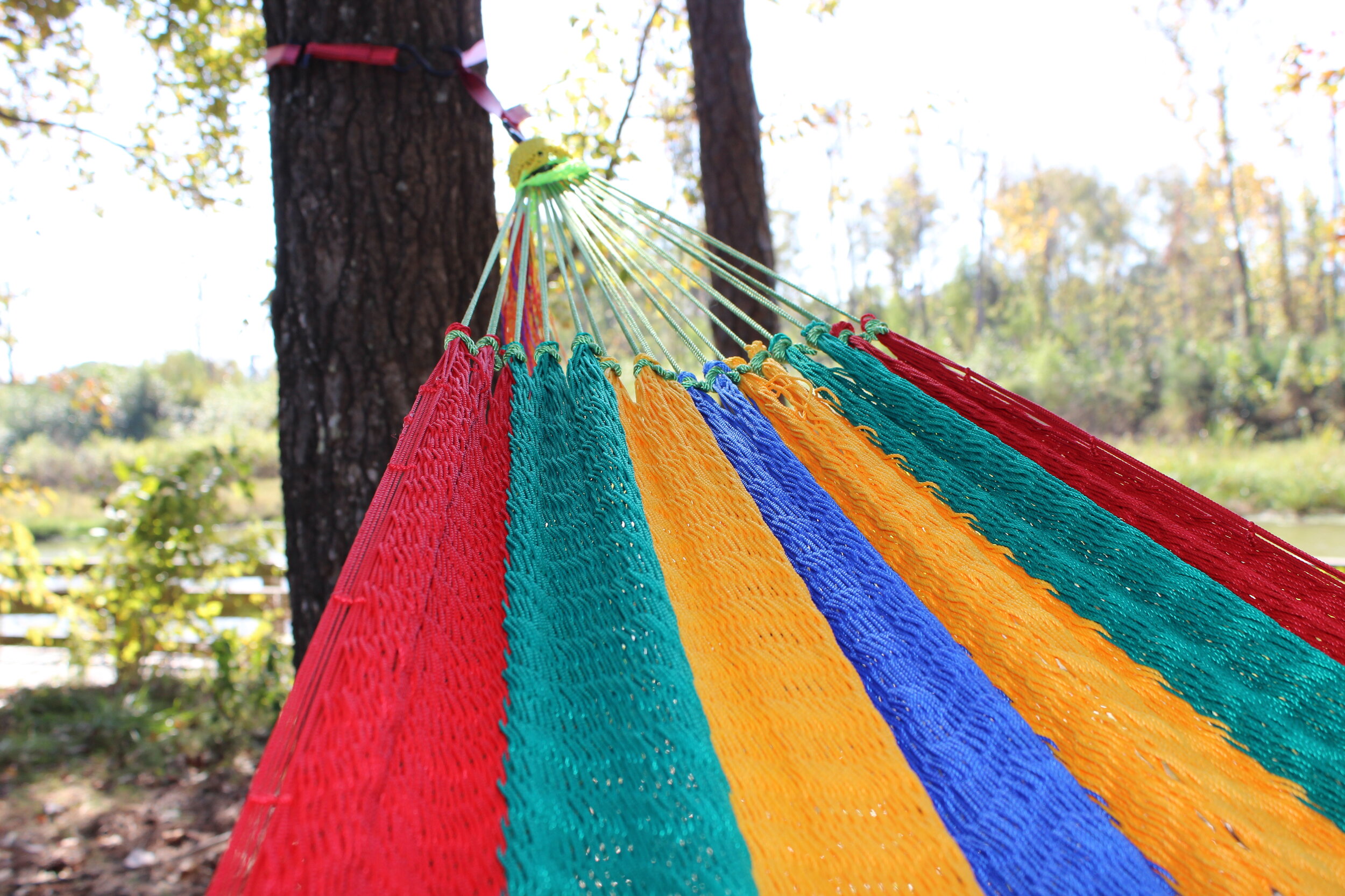 Las Hammocks Hammocks
