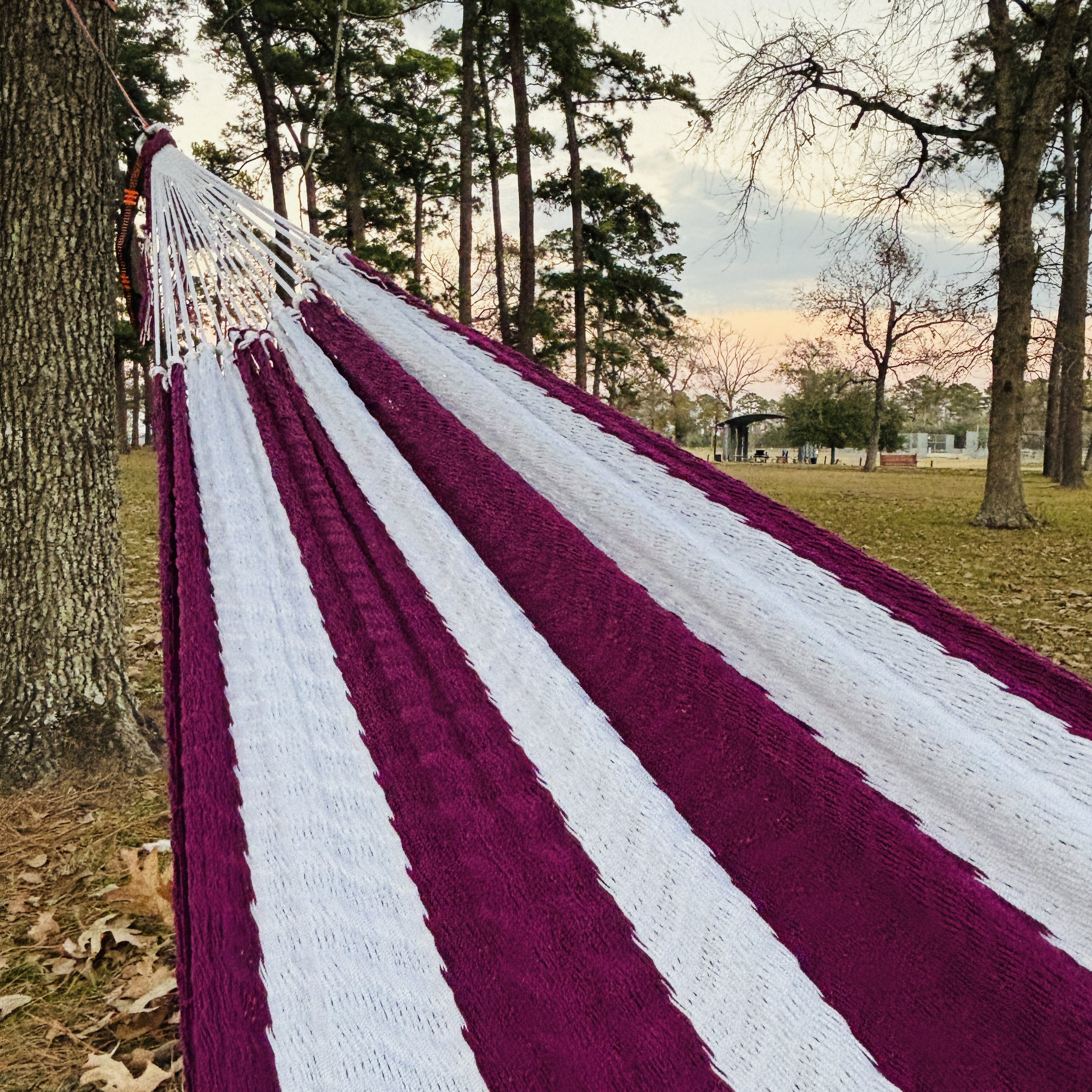 Hammock in the park.