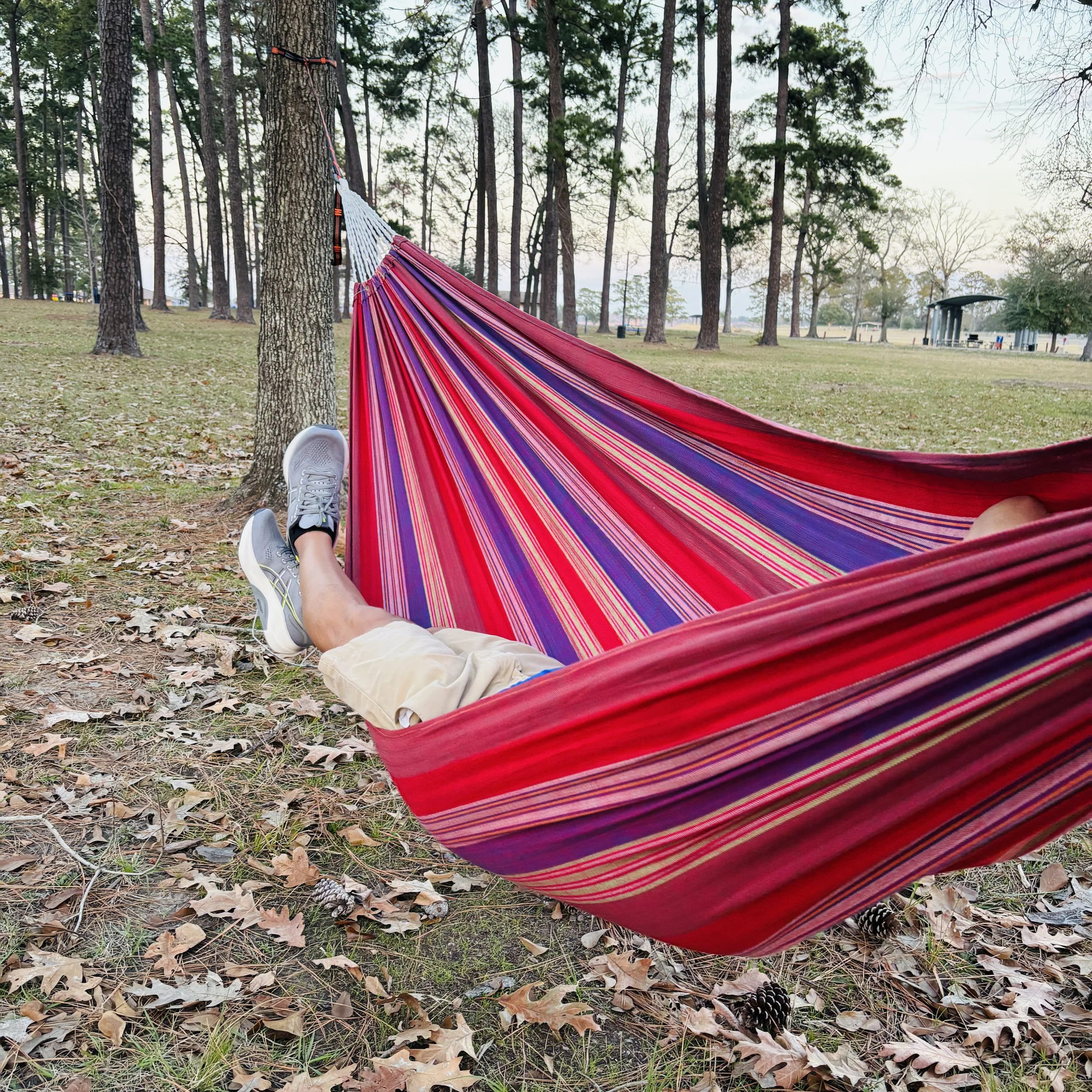 Hammock in the park