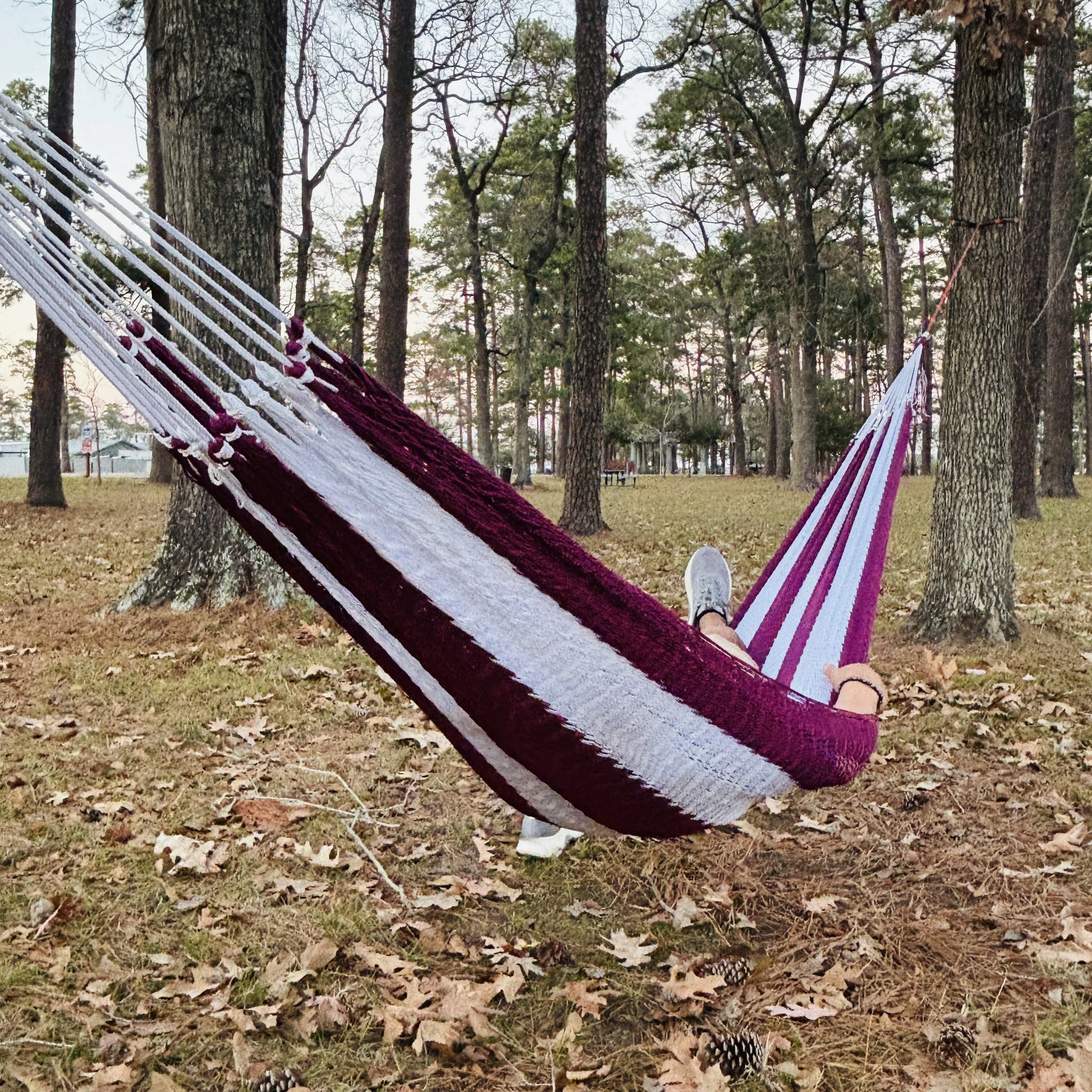 Maroon and white hammock