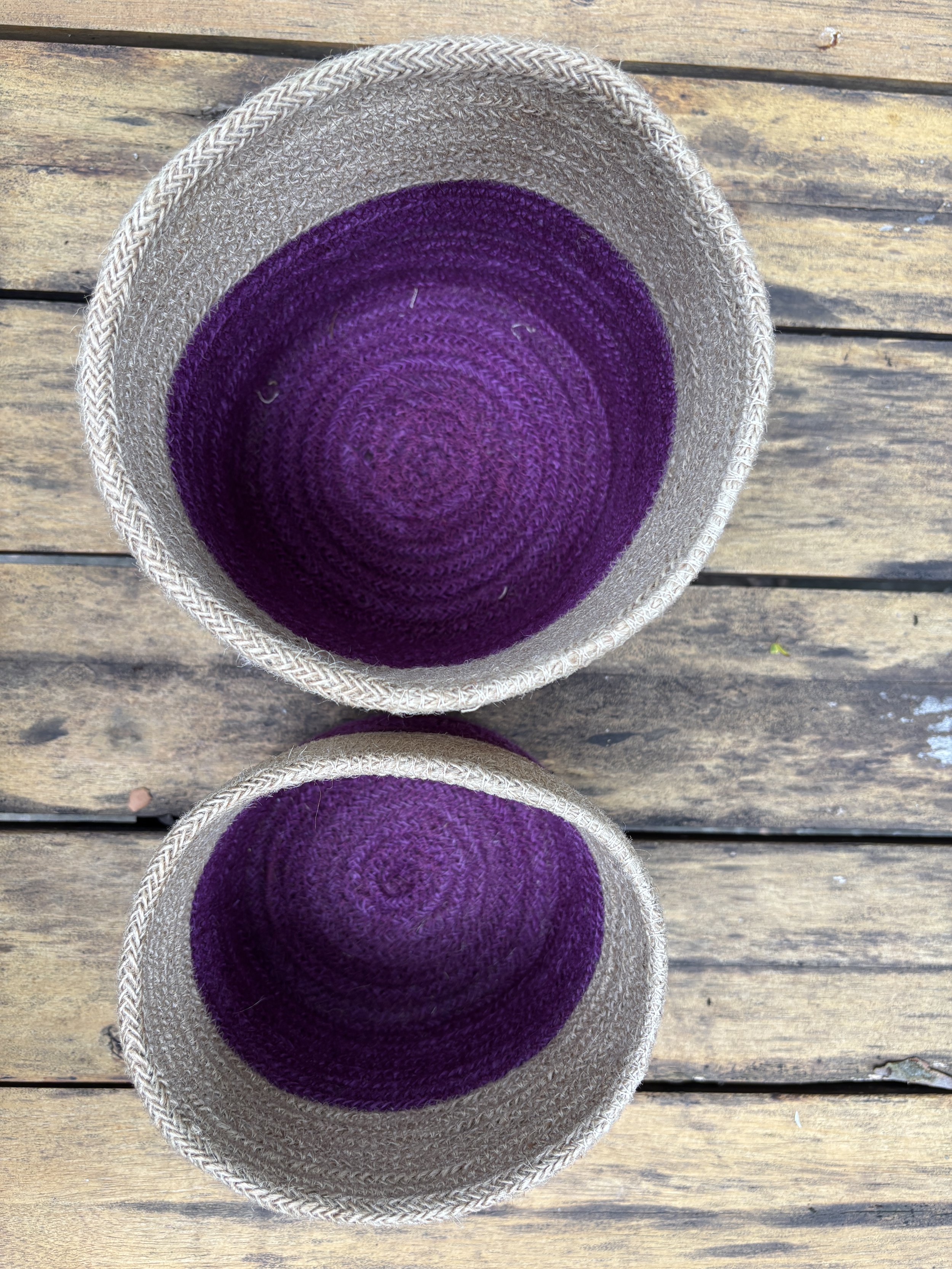 inside the purple planter