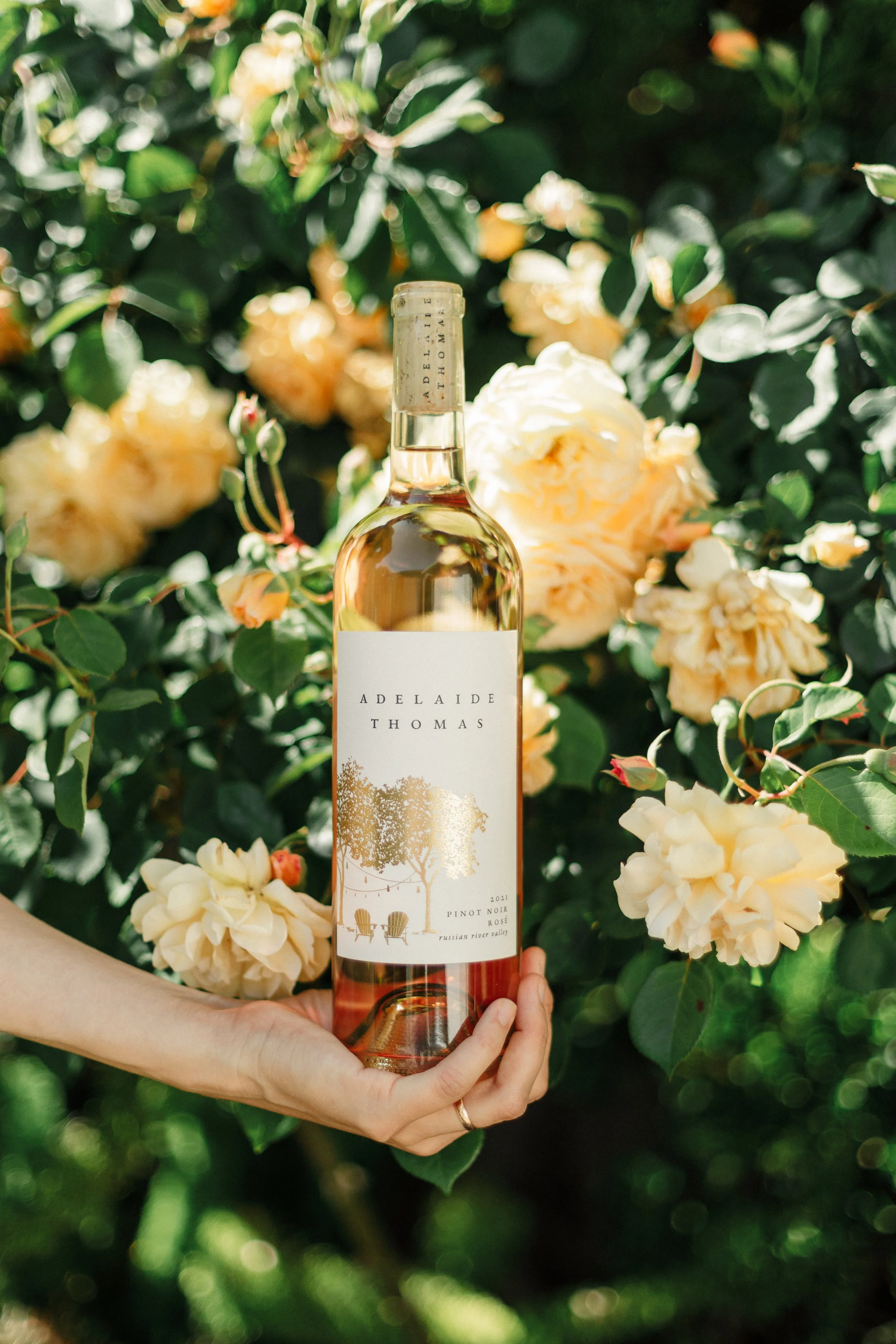 Shop — Adelaide Thomas Wines