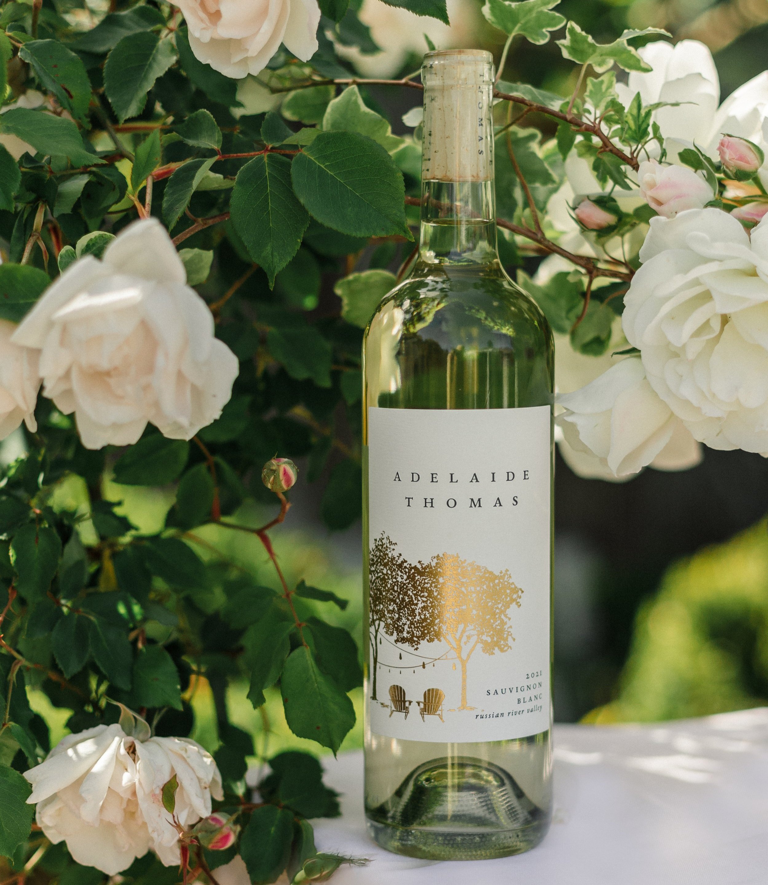 2021 Sauvignon Blanc