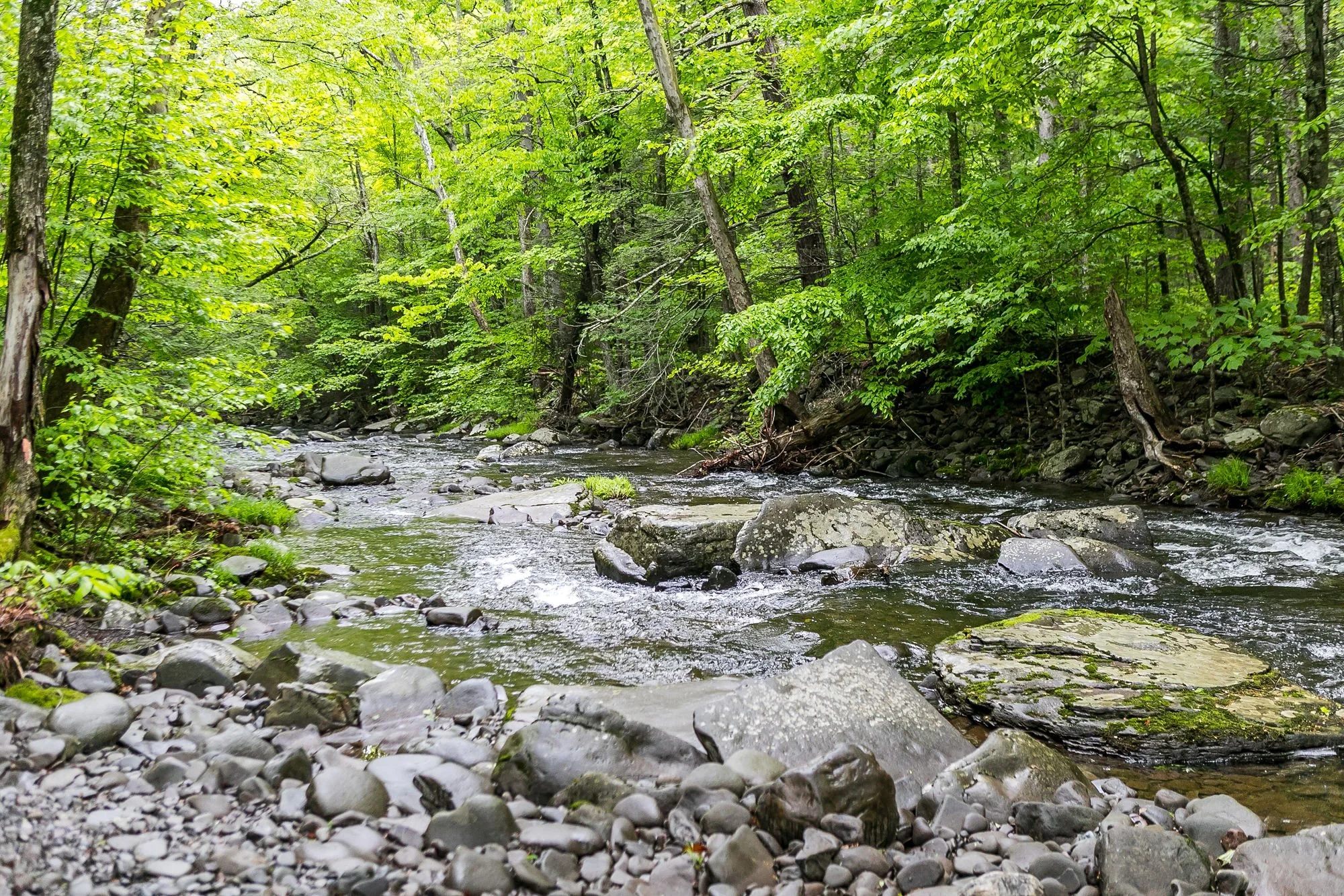 MountainValley-3.jpg