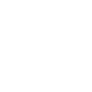 Best of the Burgh