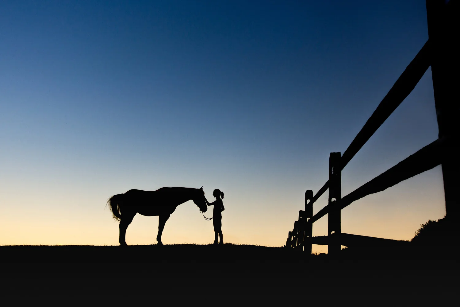 Horse Silhouette Photography
