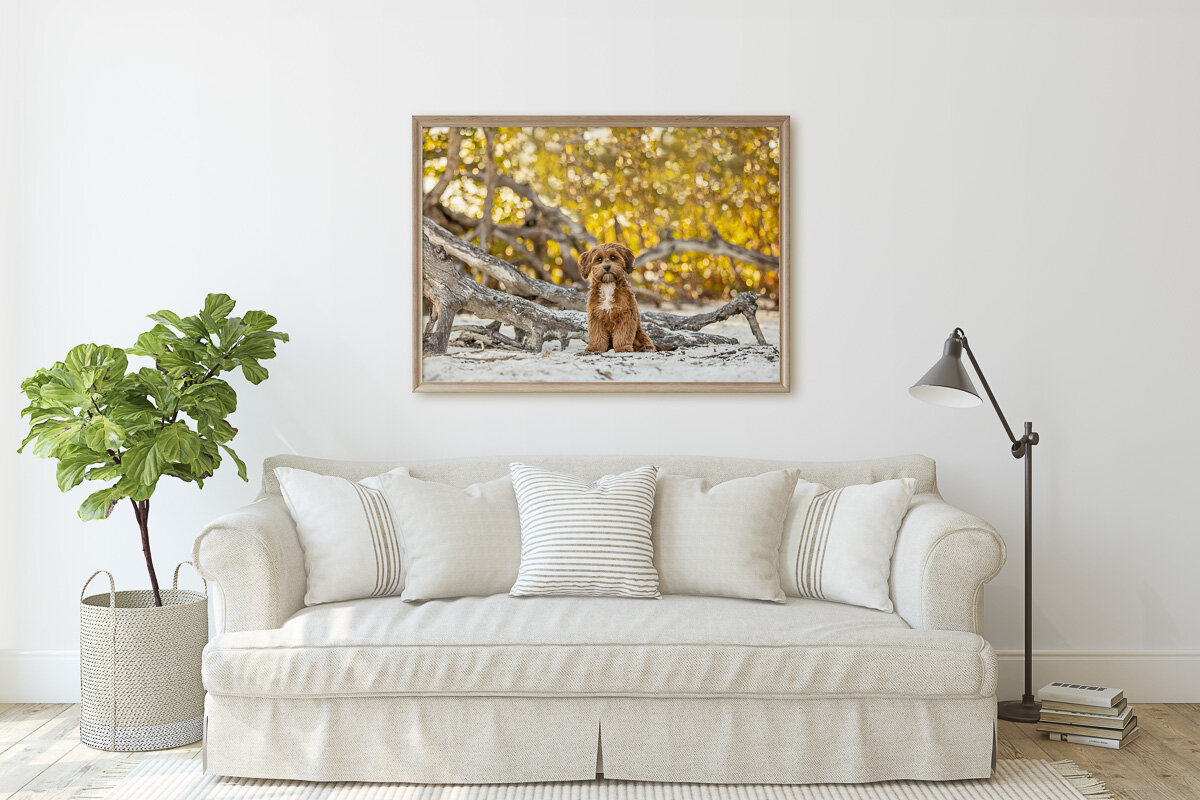 nicole-begley-photography-wallart-01.jpg