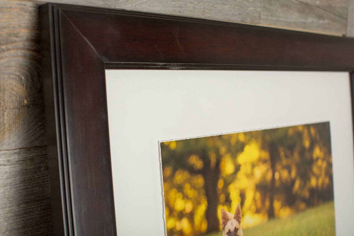 nicole-begley-photography-wallart-05.jpg