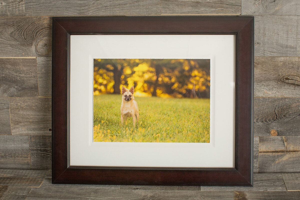 nicole-begley-photography-wallart-06.jpg