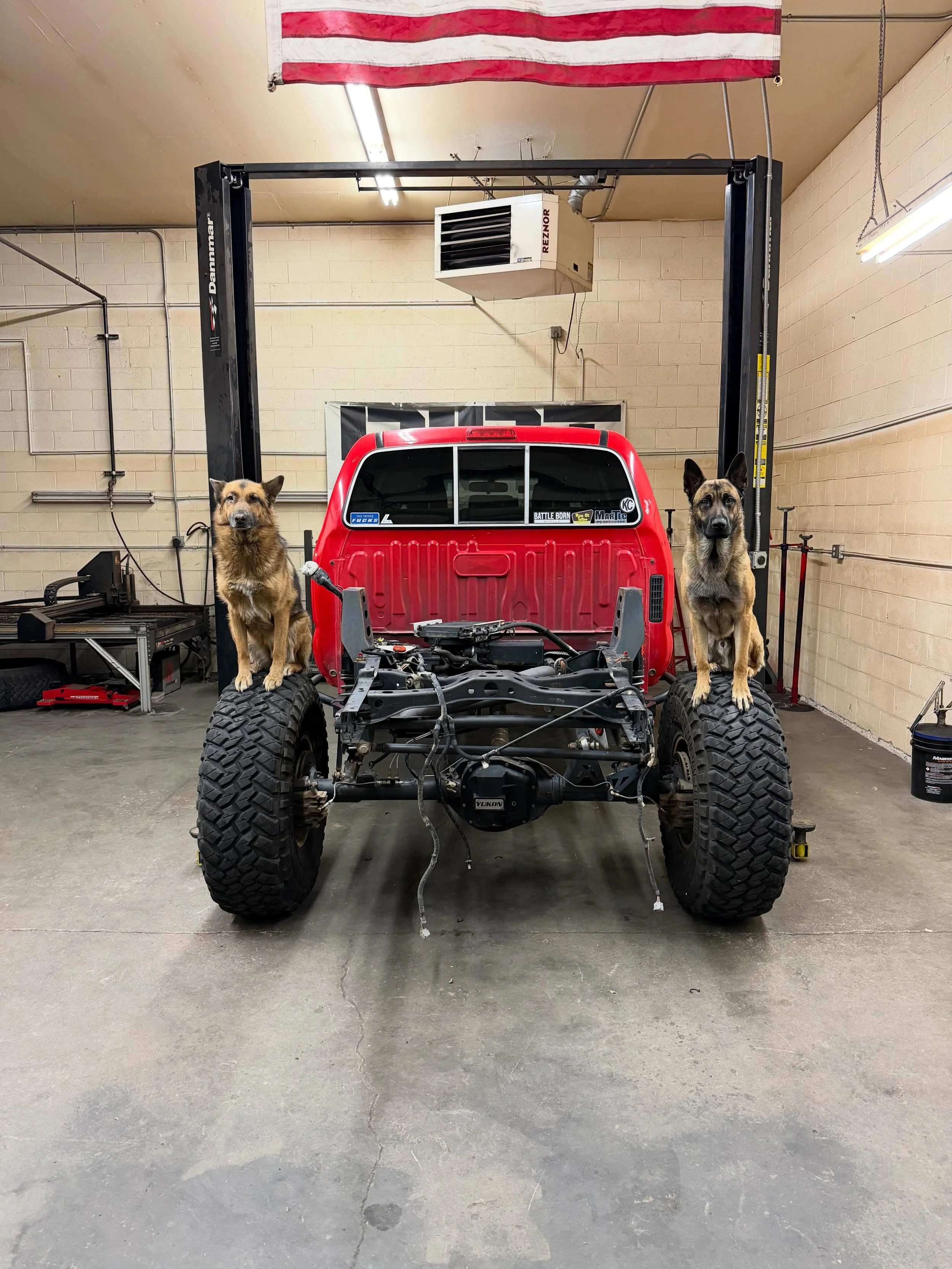 The red truck has been down and out for far too long. The dogs said it&rsquo;s time to get it back in action.