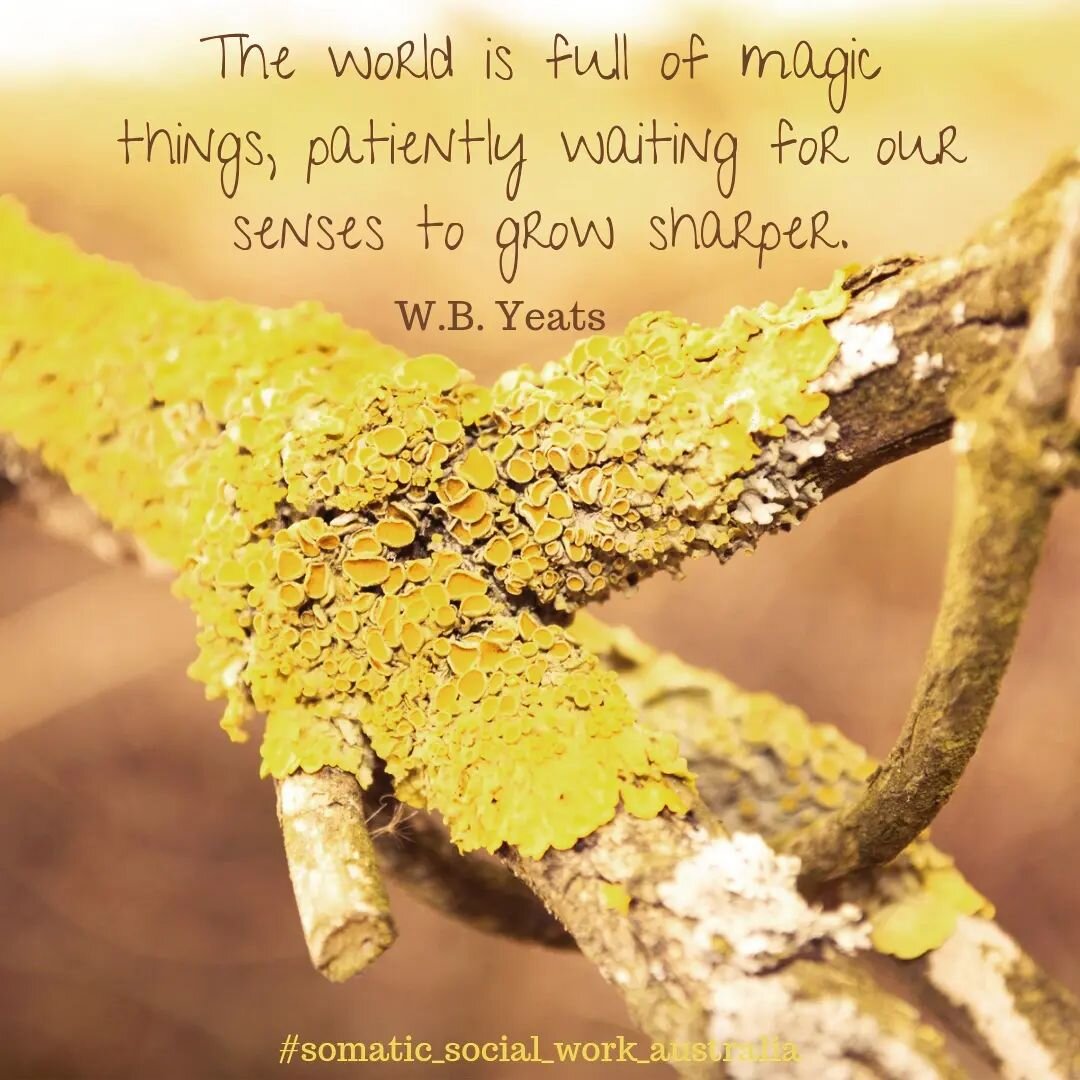 🙂🥰

#somaticsocialworkaustralia #socialworktools #somaticexperiencing #senses #yeats #bodyawareness #nature