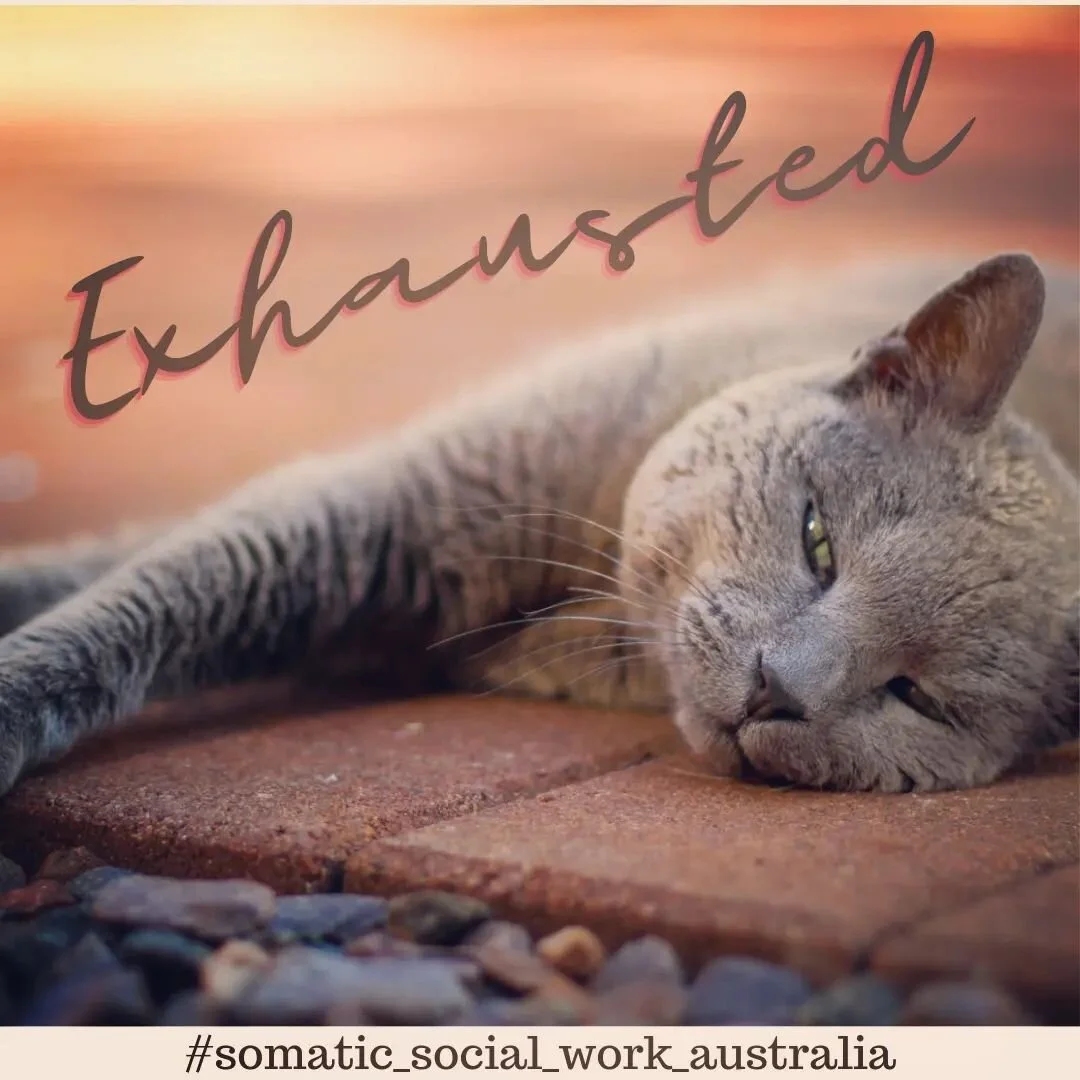 ... how does feeling exhausted impact how you think and behave?

#somaticsocialworkaustralia #somaticexperience #bodyinsights #bodyexplorations #exhausted #socialworksupervision #socialworksupervision