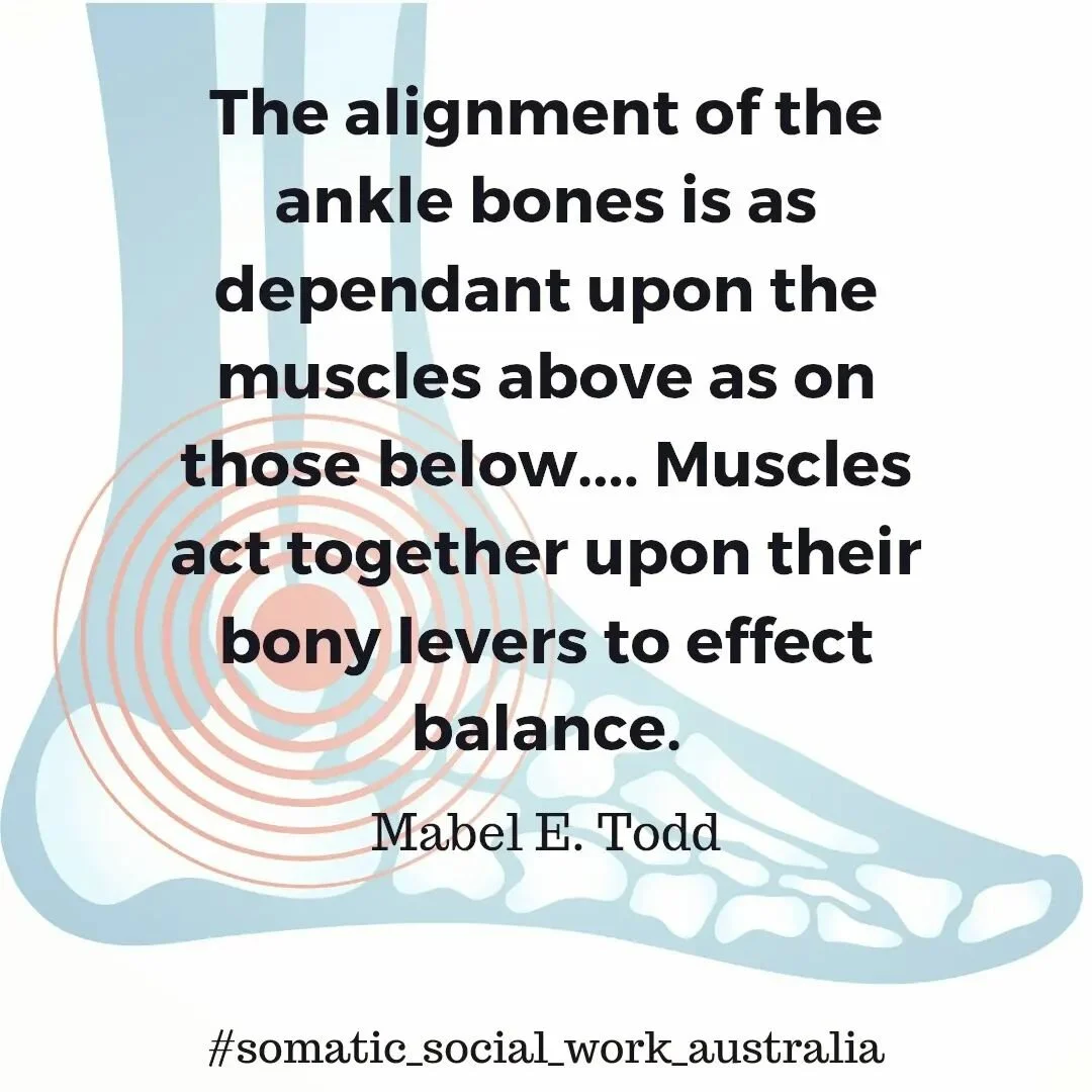 I had to think twice to identify what muscles are below the ankle bones... 🤷&zwj;♀️

#somaticsocialworkaustralia #somaticexploration #bodyexplorations #bodyinsights #yogaunderstanding #scaravelliyoga #traumainformedyoga #anatomyexperience #anklebone