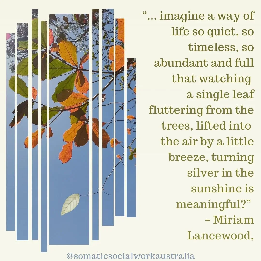 I invite you to experience your body sensations as you read this quote...

#somaticsocialworkaustralia #somaticexperiencing #somaticexploration #bodysensations #bodystories #watchingleaves