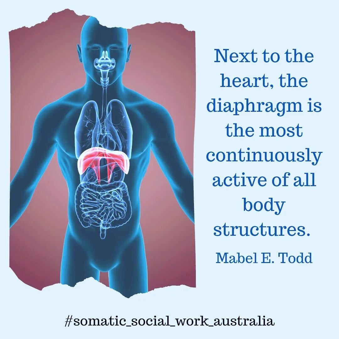 Movement in the body ...

#somaticsocialworkaustralia #movementinthebody #somaticexploration #bodyawareness #anatomyreflections #bodystories