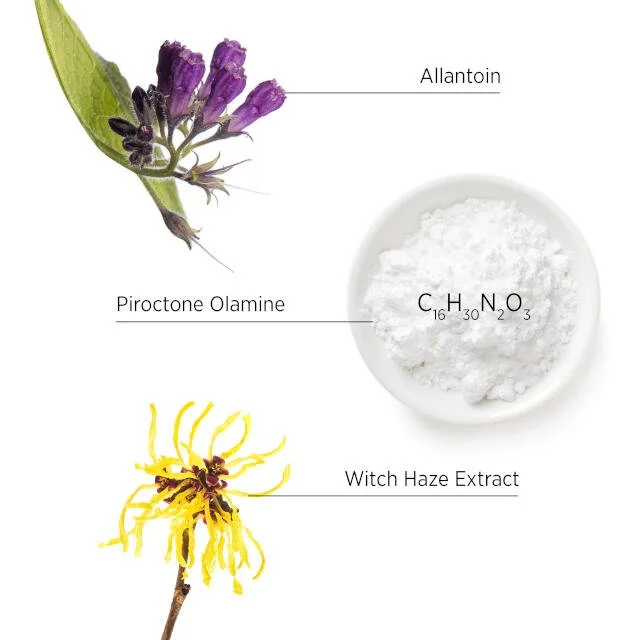 Purify_Ingredients_Allantoin-PiroctoneOlamine-WitchHazeEztract.jpg