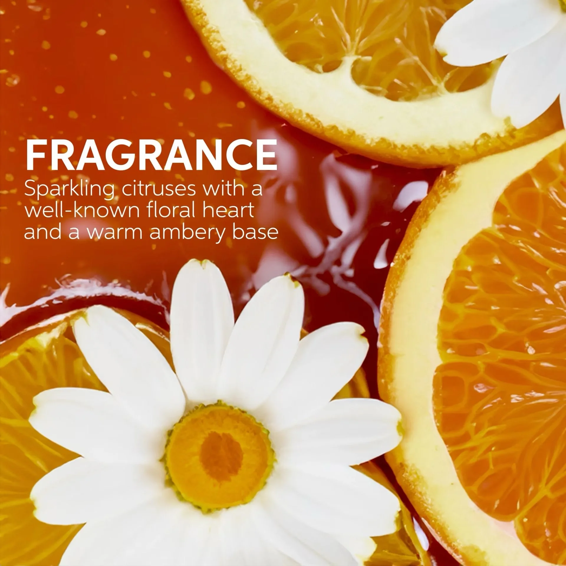 Wella-Professionals_Ultimate-Smooth_Fragrance_SI2.jpeg