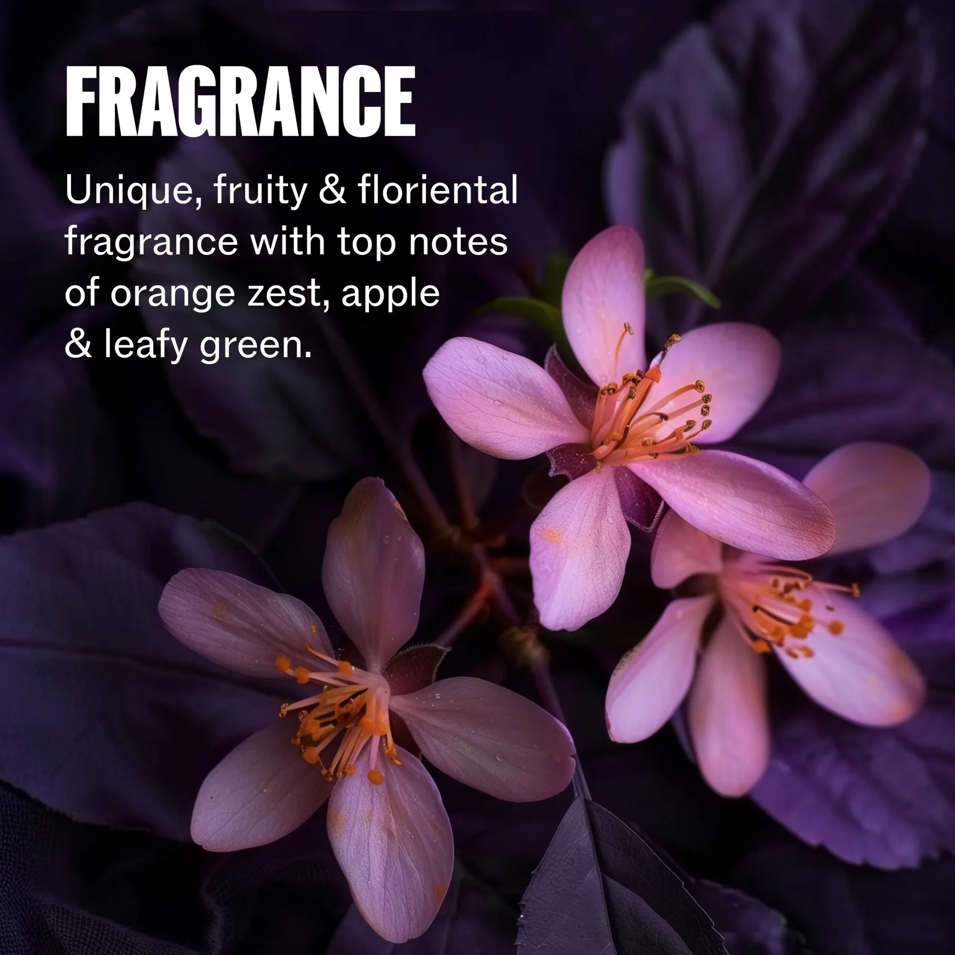 Wella-Professionals_Ultimate-Color_e-comm_PDP_Fragrance.jpeg