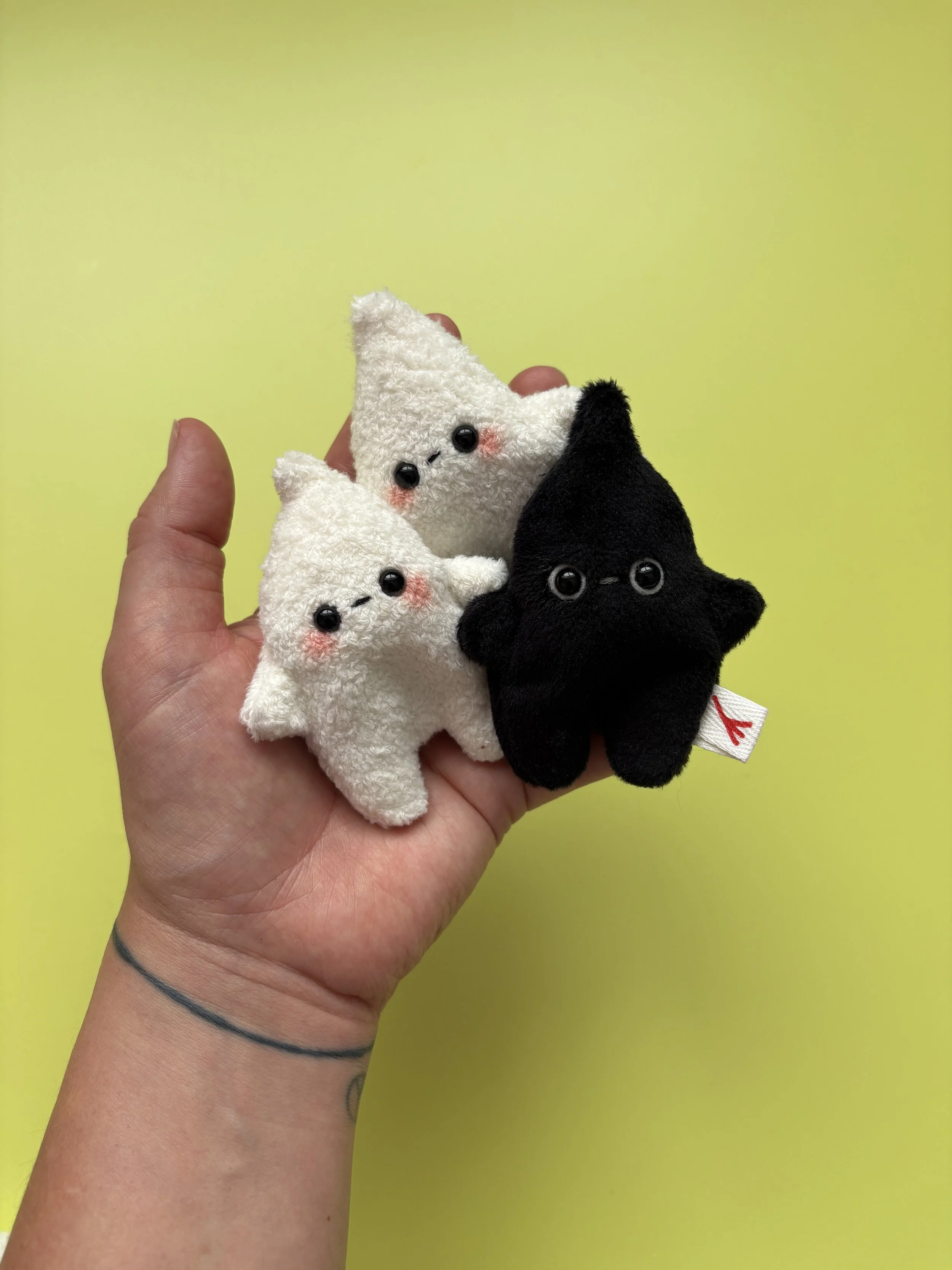 IMG_9857.JPG