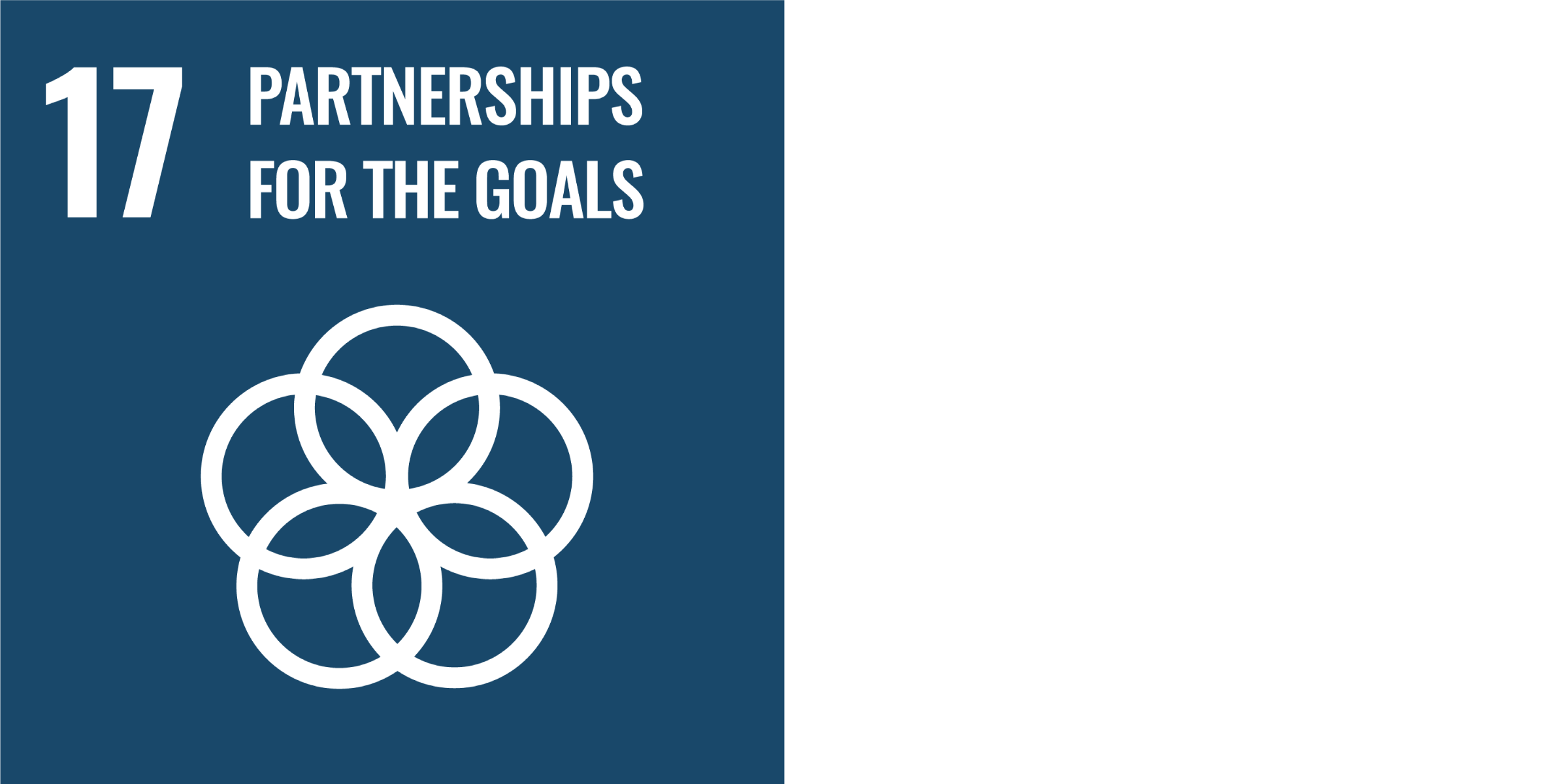 Partnership for the Goals&nbsp;