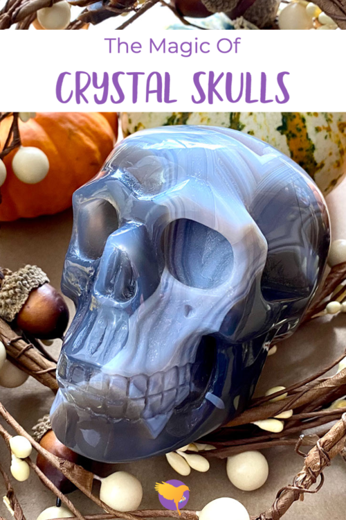 skull pinterest.png