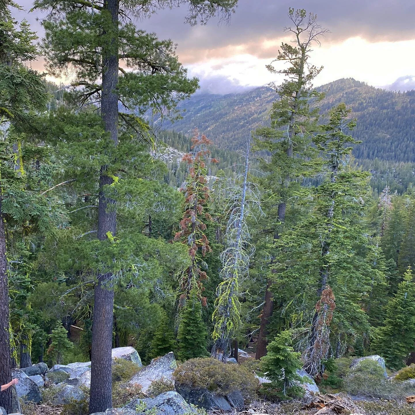 Went for a 130-mile stroll through a section of the Pacific Crest Trail with my brother and father in Northern California. I left them walking after 9 days of beautiful, stress-melting nature (they&rsquo;re walking still). After all the challenges of