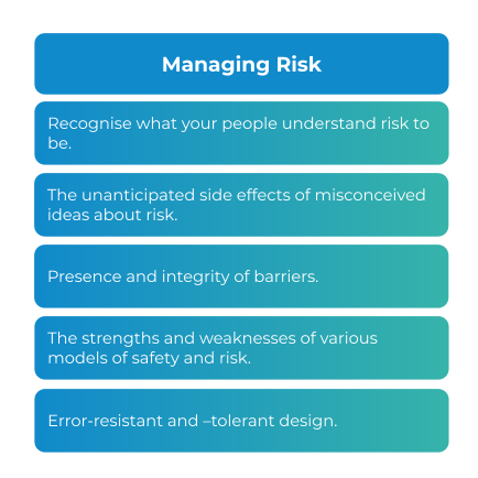 Safety Differently Program - Theory & Practice — Art of Work Academy