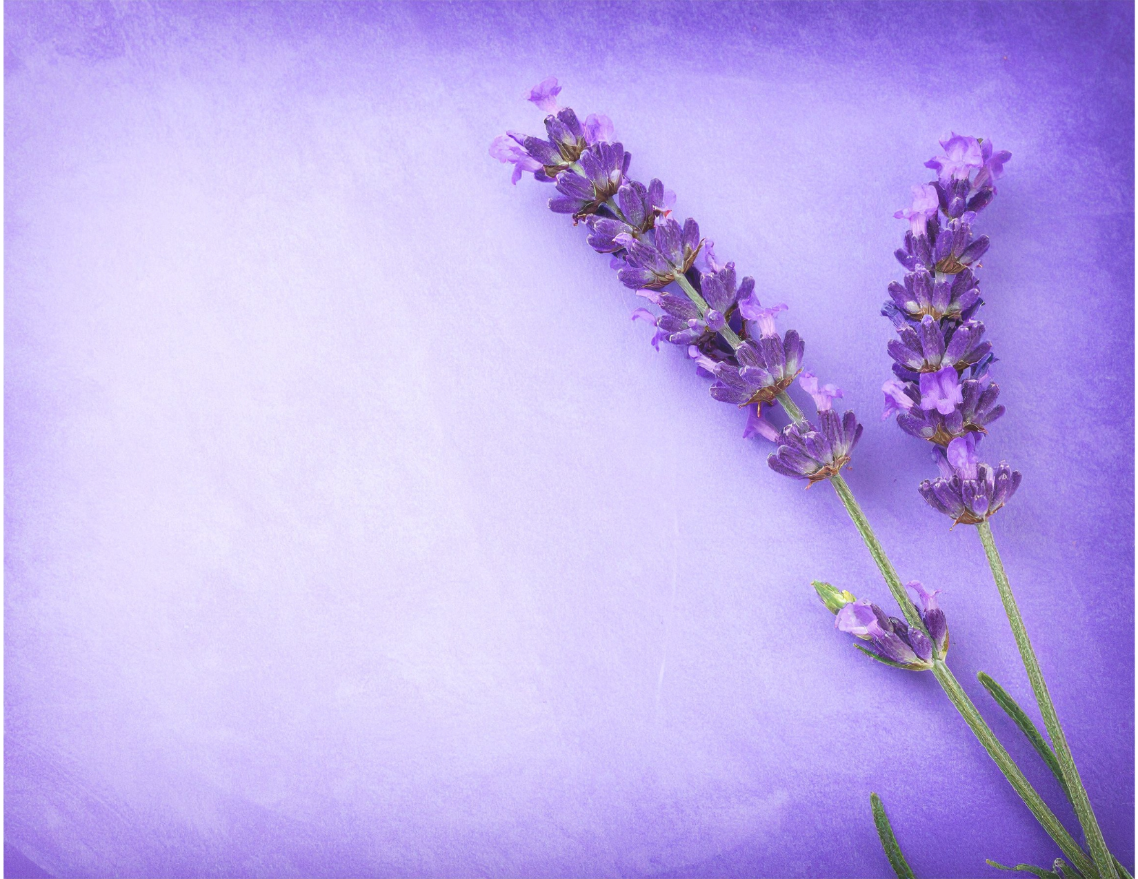 Give Mom  Silent Treatment.png