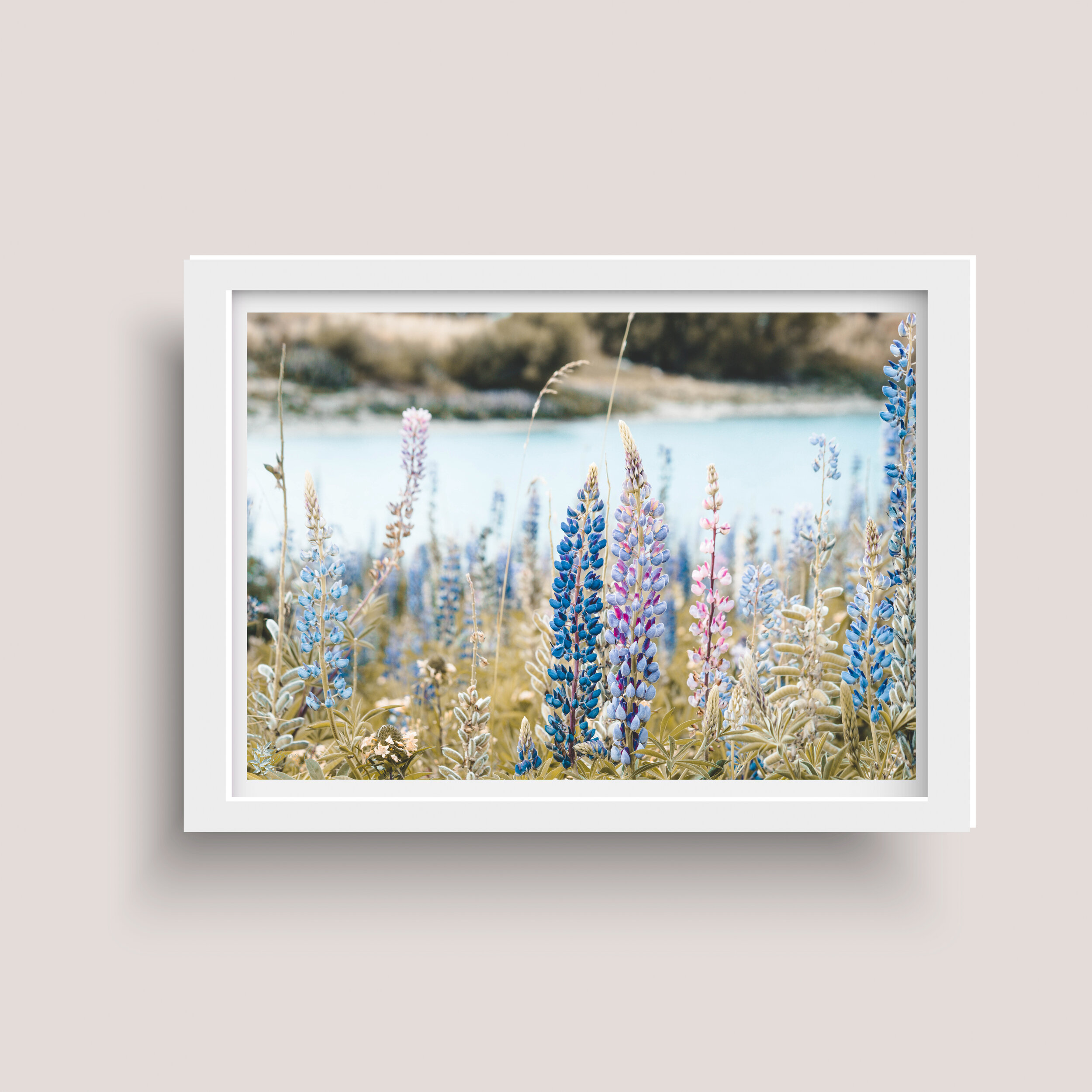 Lupines-frame-1.jpg
