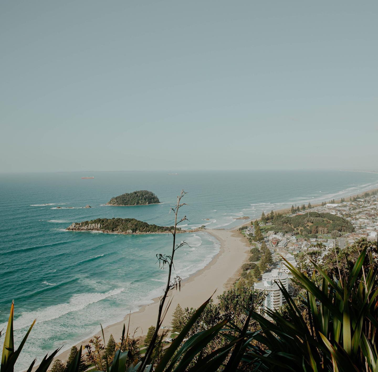 NZ you are a stunner ⚡️ 

.

.

.
#nz #newzealand #mountmaunganui #travel #travelblogger #travelphotographer #newzealandlife #keepexploring #newzealandvacations #dreamy #stayandwander #mountains #portraitpage #nztravel #discover_newzealand #visualsof