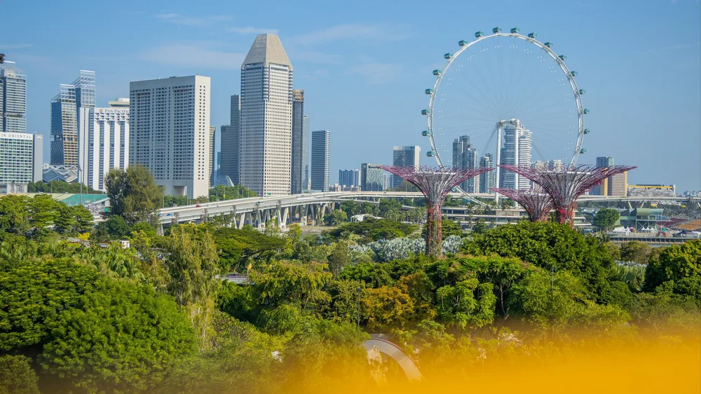 Bumble GCB_Juliana Broste__TJP_5885 R 16x9.jpeg