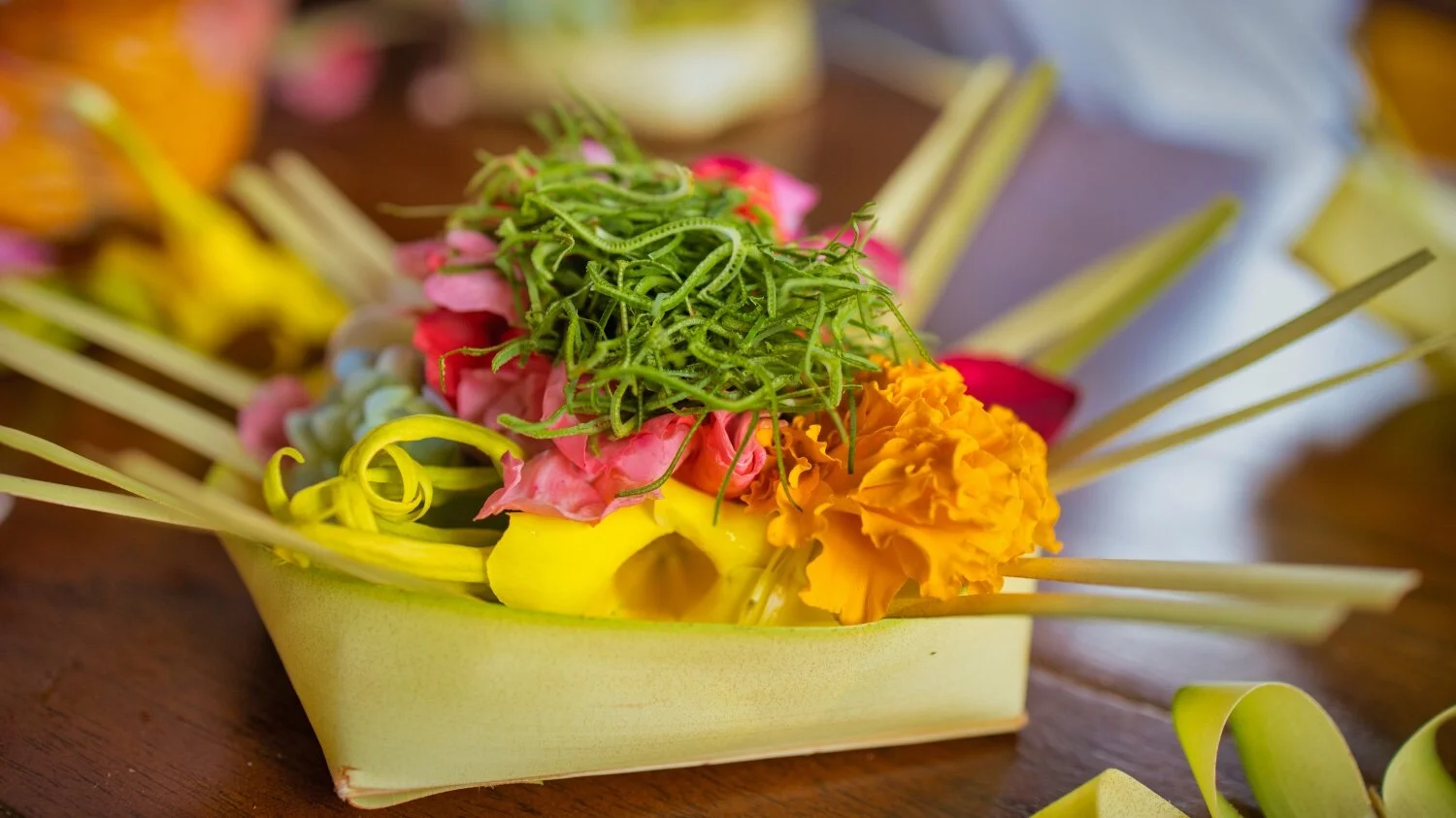 Bumble GCB_Juliana Broste__EOSR7887 R 16x9.jpeg